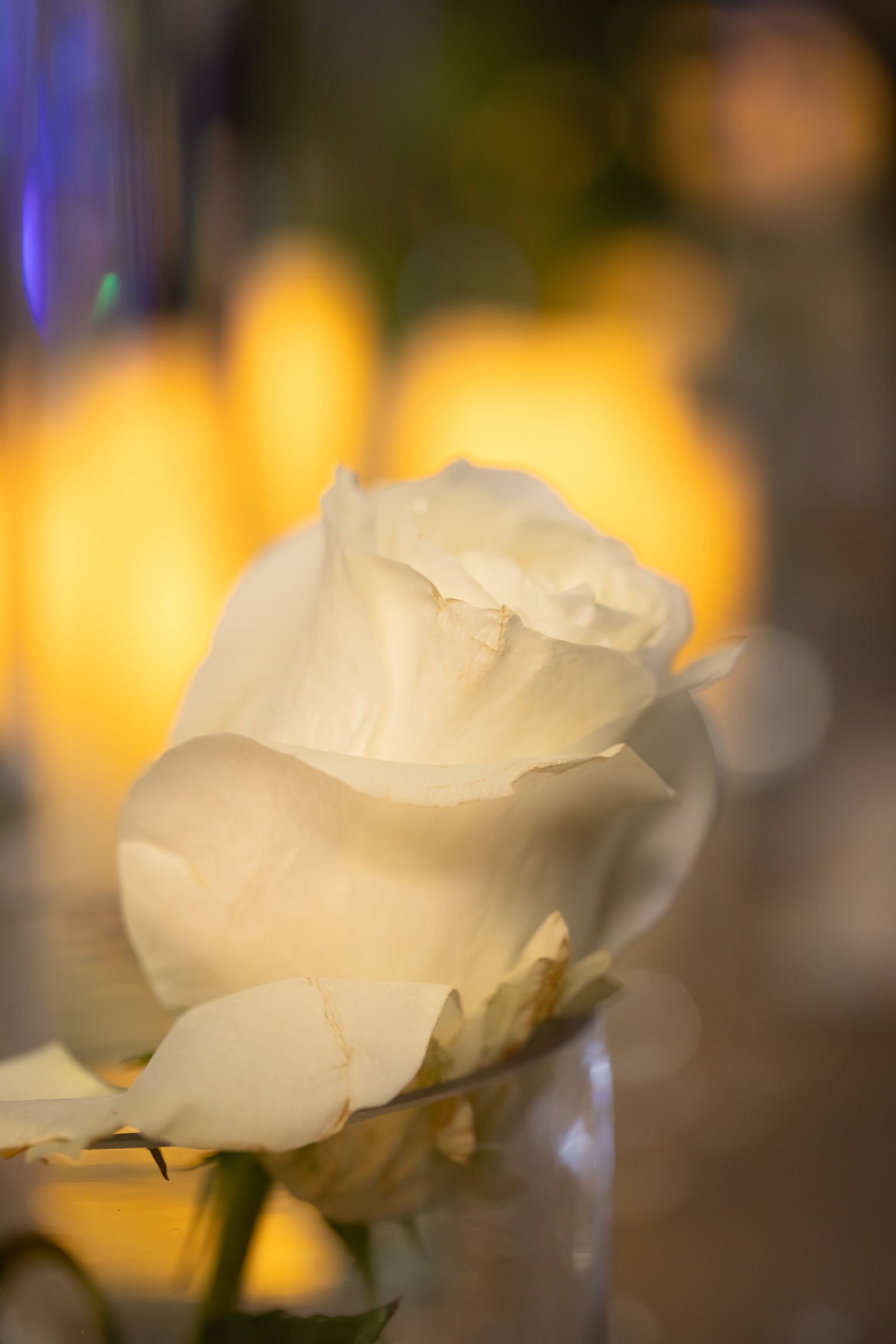 ACRS_Dinner-12.jpg