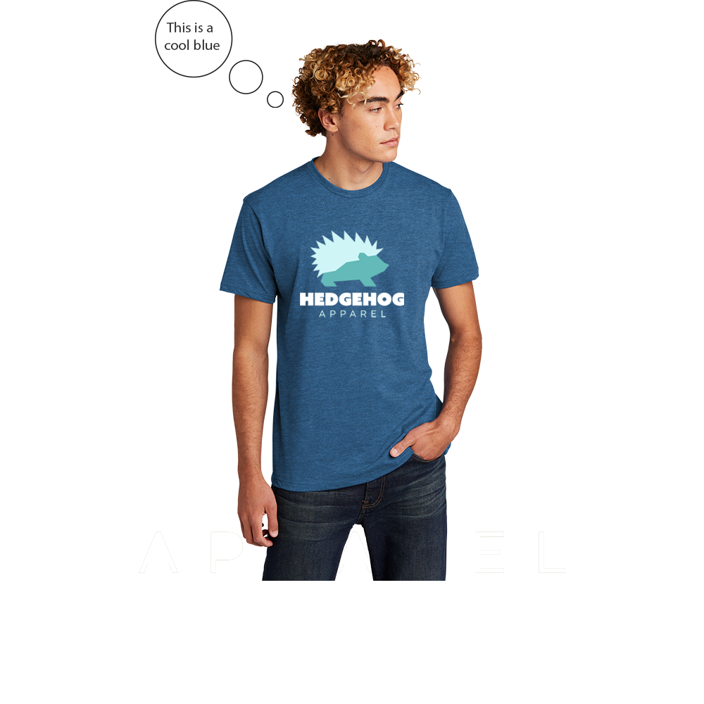 Next Level Apparel® Unisex CVC Tee (Favorite Blue)