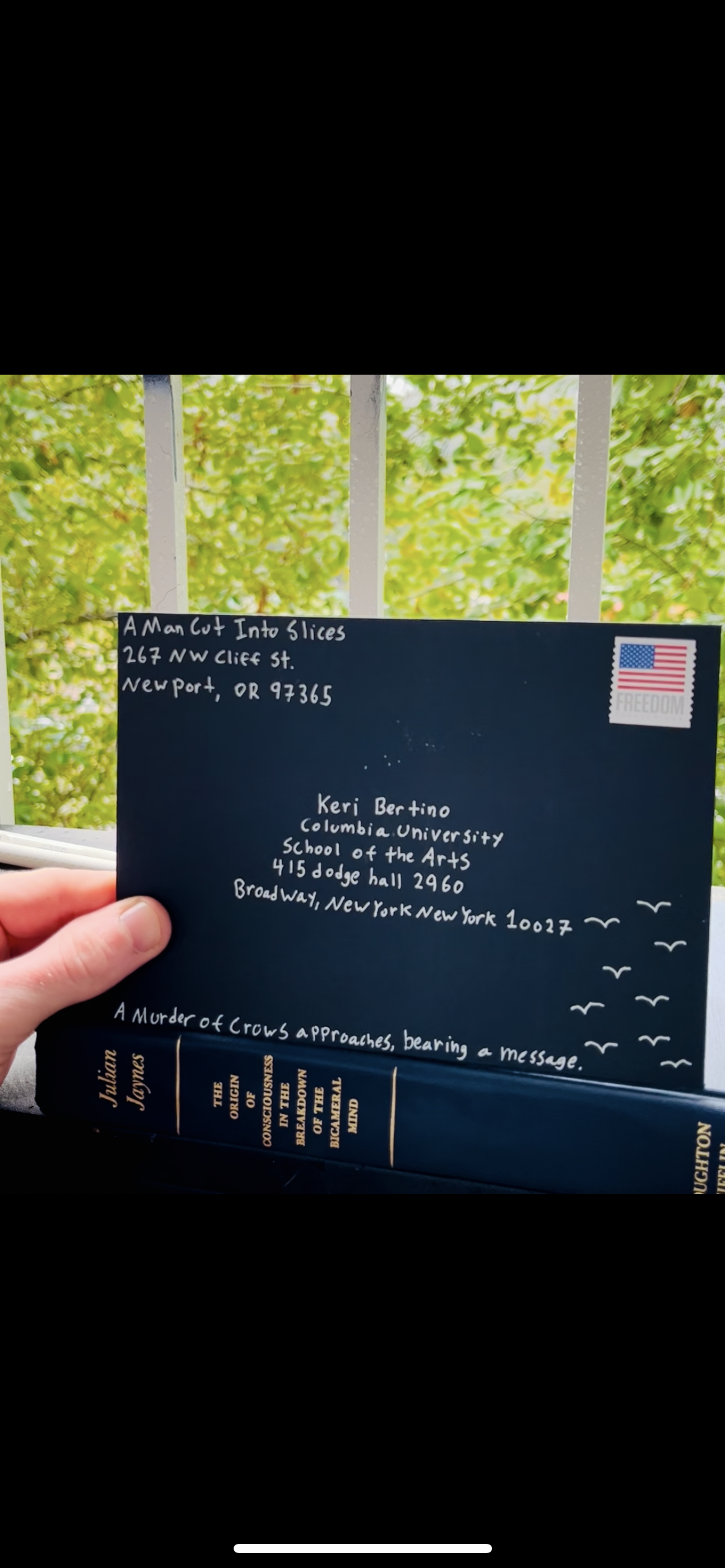 Hand holding a navy blue postcard with handwritten addresses and a red, white, and blue flag sticker labeled 'FREEDOM.' The postcard is set against green trees and a white slatted railing. There is a book titled 'The Origin of the Consciousness in the Business of the Brain' by Jahaan Jones partially visible at the bottom.
