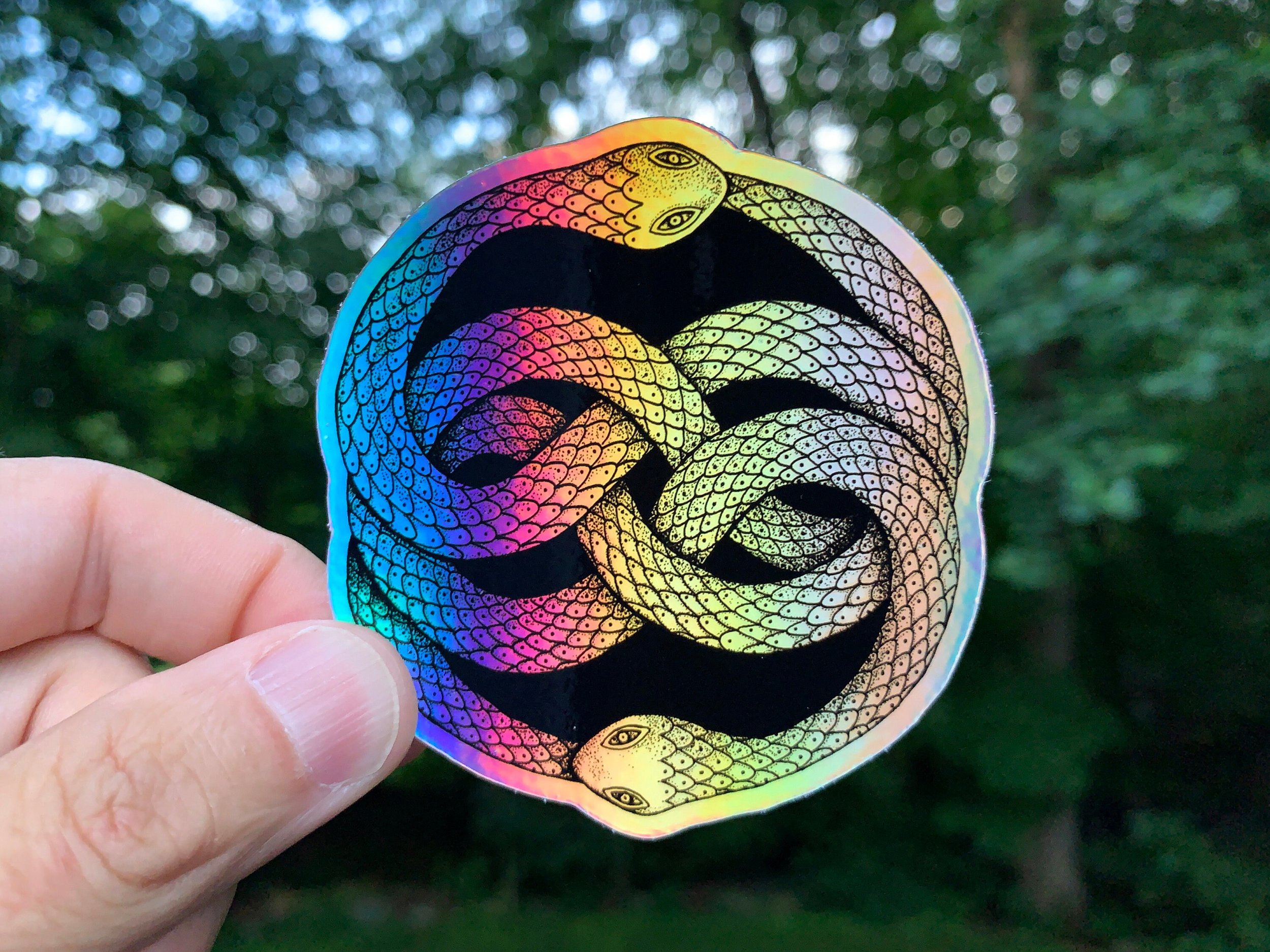 https://i.etsystatic.com/21953768/r/il/1f2ee1/2388922376/il_fullxfull.2388922376_3b04.jpg