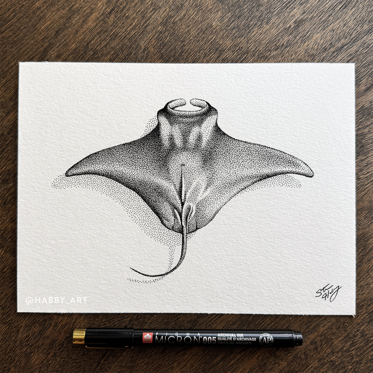 &ldquo;Manta&rdquo; &bull; A new one from my swimming in the shallows series. Inspired by my trip to Hawaii, where we swam with 10-foot manta rays at night. Attracted by the lights of our boat, they came within inches of us! 
.
.
.
.
.

#stippling #d