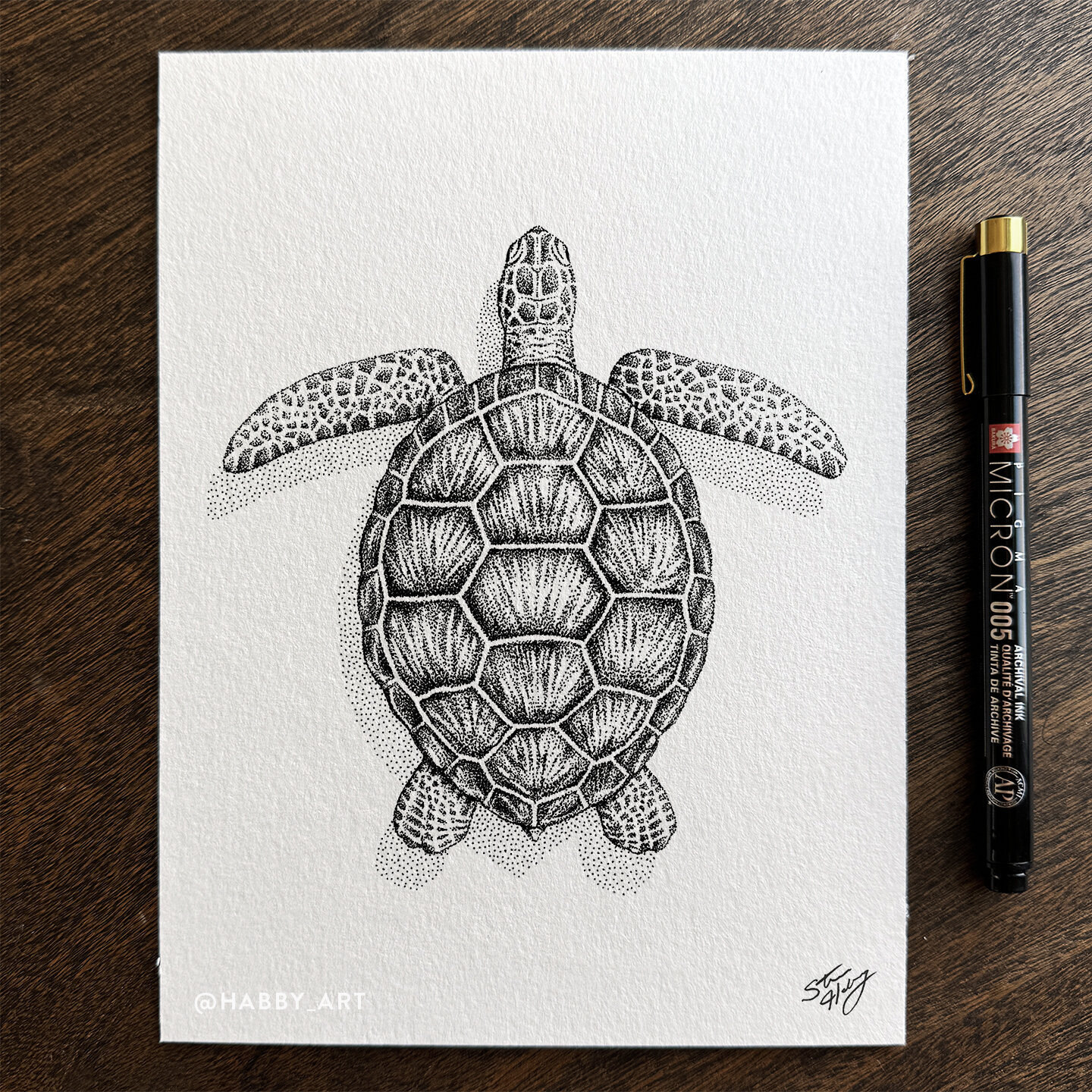 &ldquo;Sea Turtle&rdquo; &bull; Another drawing from my swimming in the shallows series. I got lost in the details on this one. The patterning of the shell was such a challenge to create with dots. You can swipe to see an ultra close up of the stippl