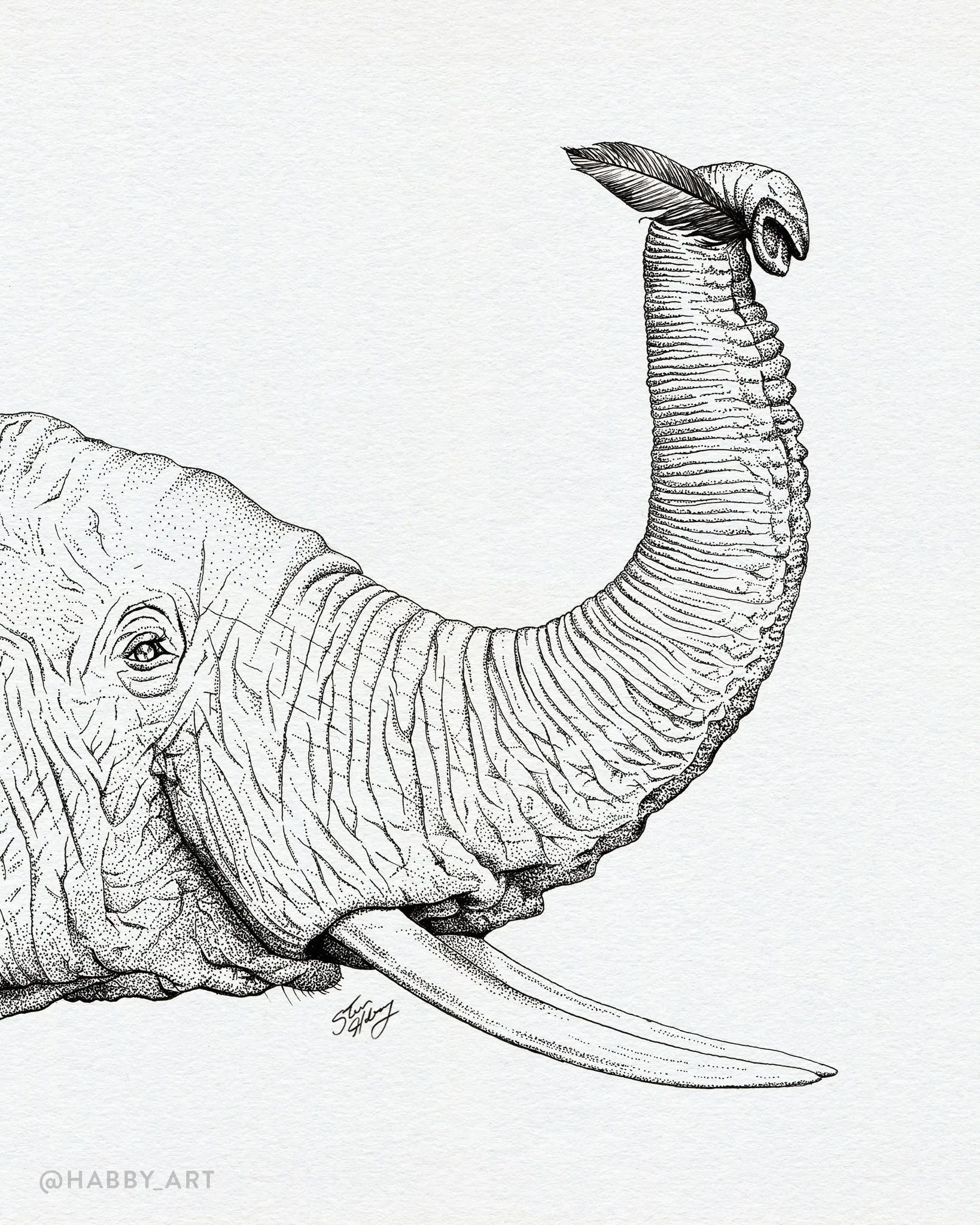 Inktober 14: &ldquo;Trunk&rdquo; &bull; 🐘 
.
.
.

#inktober #inktober2025 #inktober52 #stippling #draw #draweveryday #creative #illustration #blackandwhite #sketch #sketchbook #sketchbookart #tattoos #tattooart #blackworknow #micronart #lowbrowart #