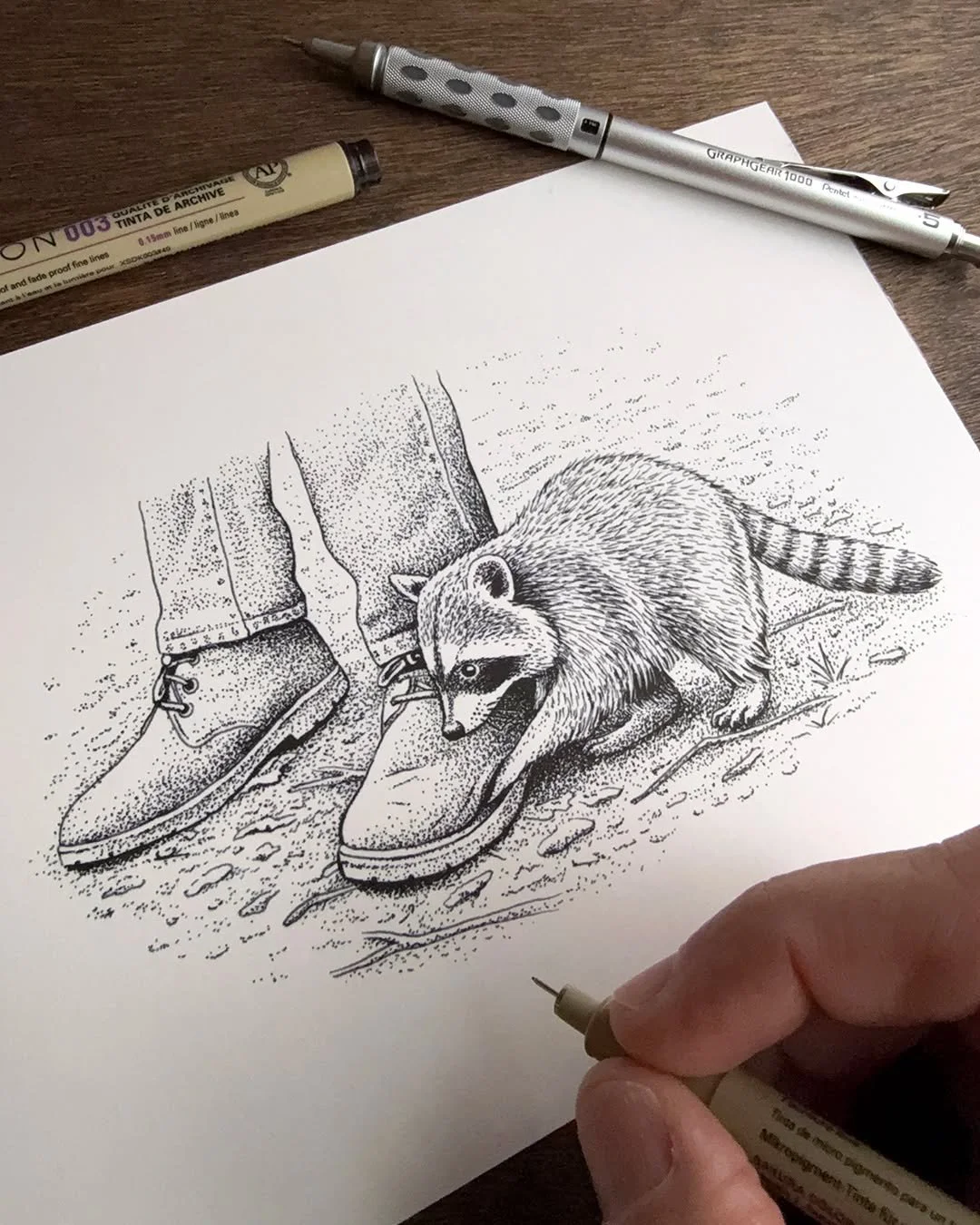 You all know I love raccoons. So, I couldn't pass up a project illustrating some spot illustrations for a story about a couple of hikers who encounter an especially friendly raccoon on a hiking trip. (Spoiler alert: turns out the raccoon was someone'