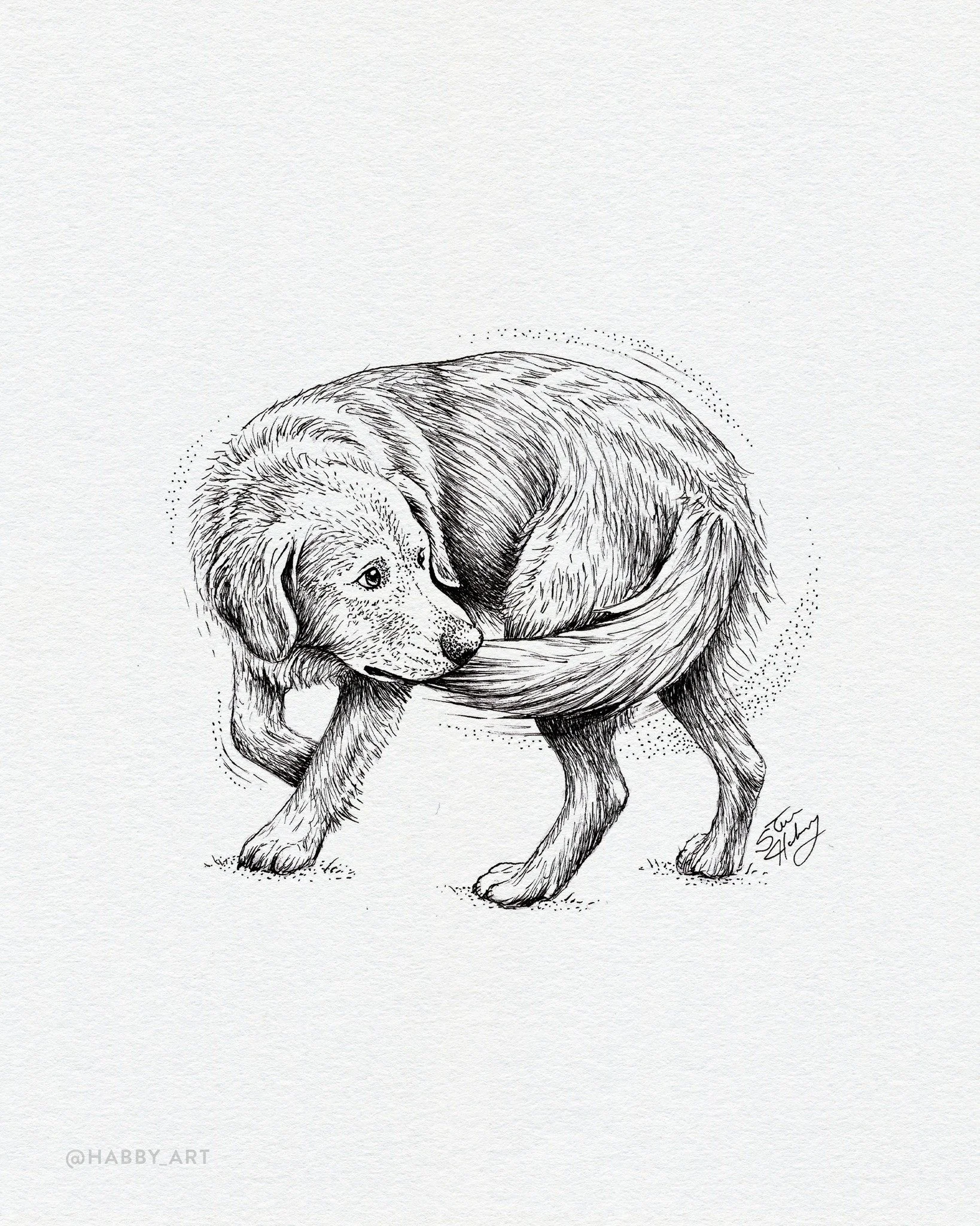 Inktober 27: &ldquo;Dumb&rdquo; 🐶 &bull; But also cute. 

@inktober #inktober #inktober2026 #inktober2026dumb #dogart  #penandink