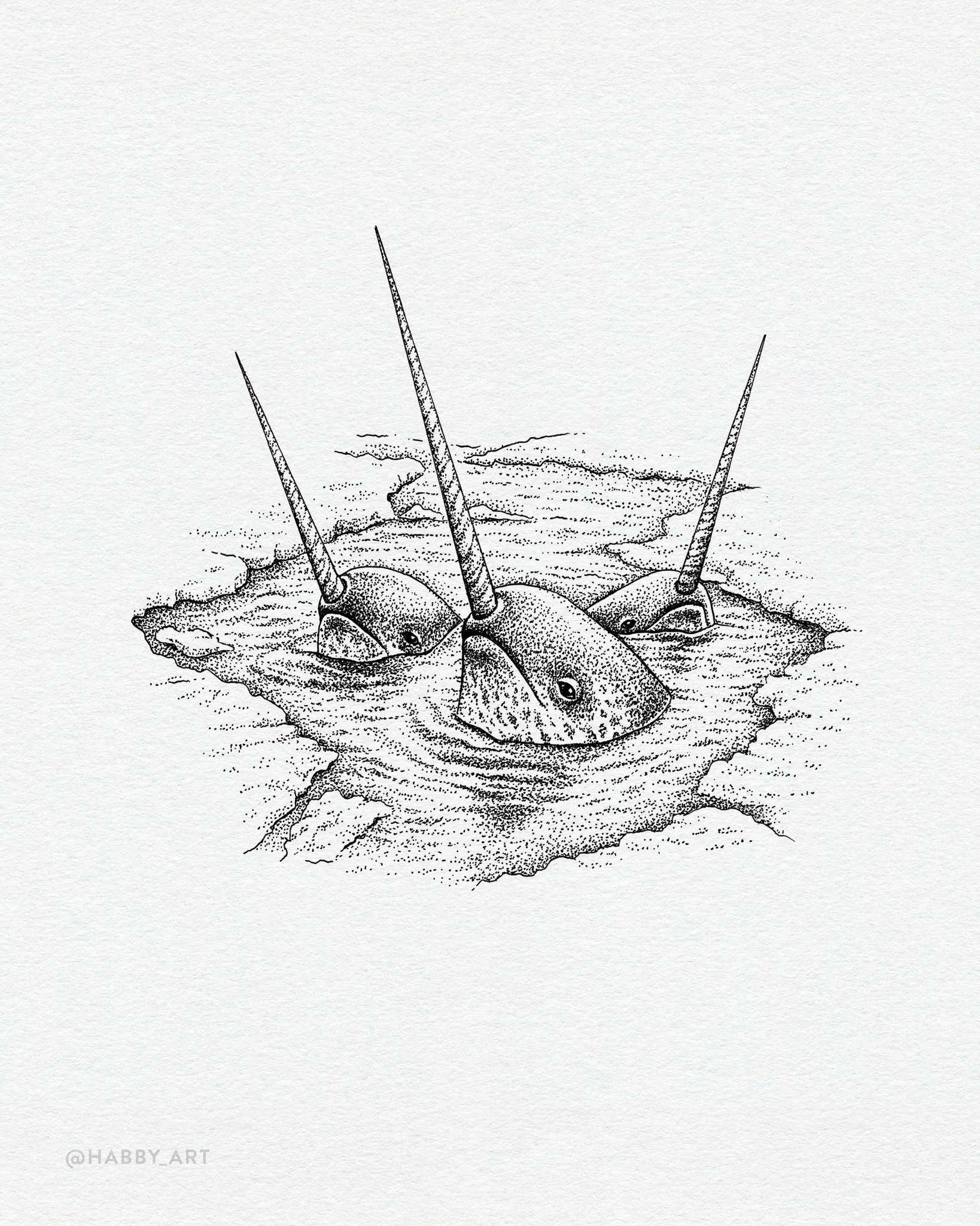 Inktober 29: &ldquo;Tusk&rdquo; &bull; Unicorns of the sea.

@inktober #inktober #inktober2026 #inktober2026tusk #inkillustration #narwhals