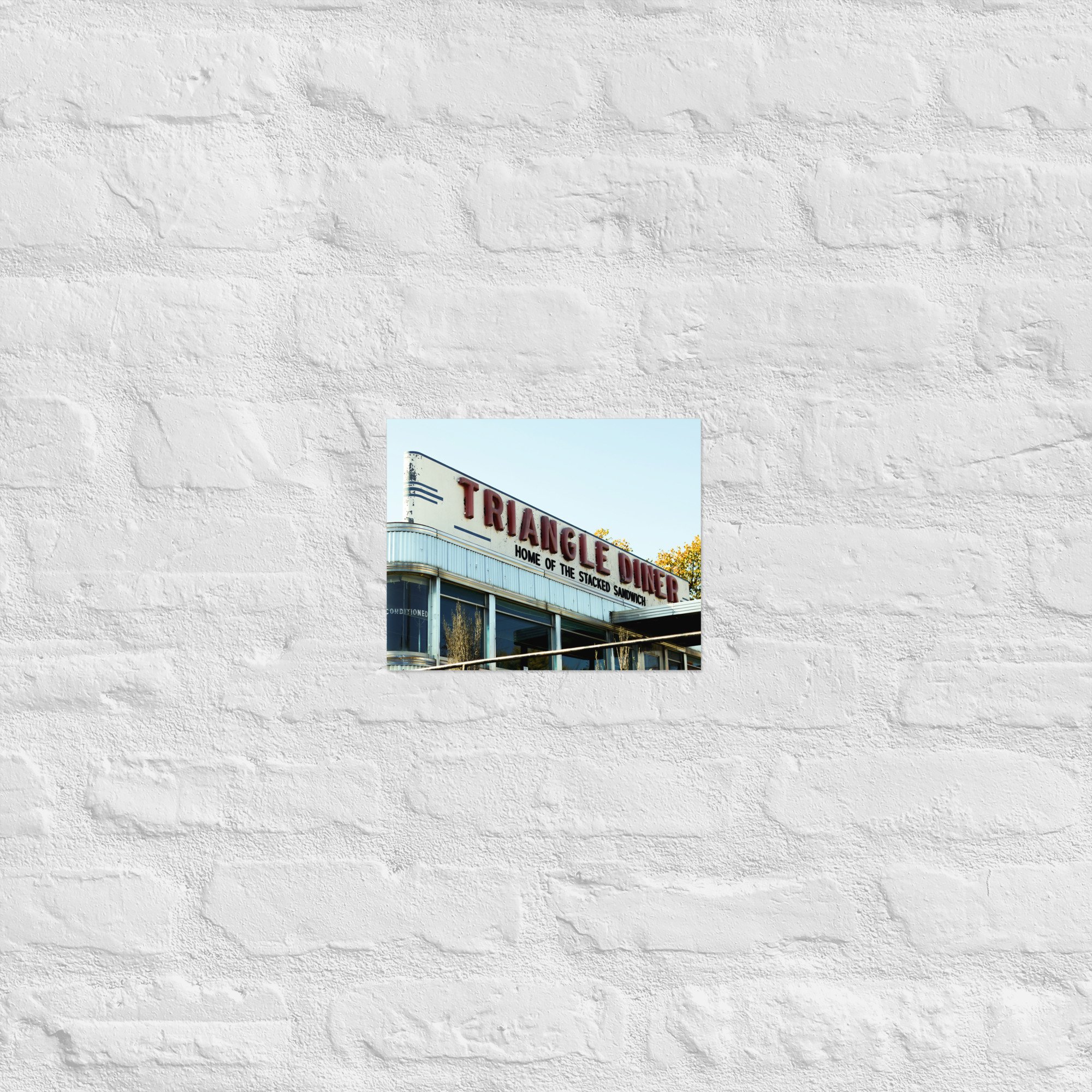 enhanced-matte-paper-poster-(in)-8x10-front-681f67f591135.jpg