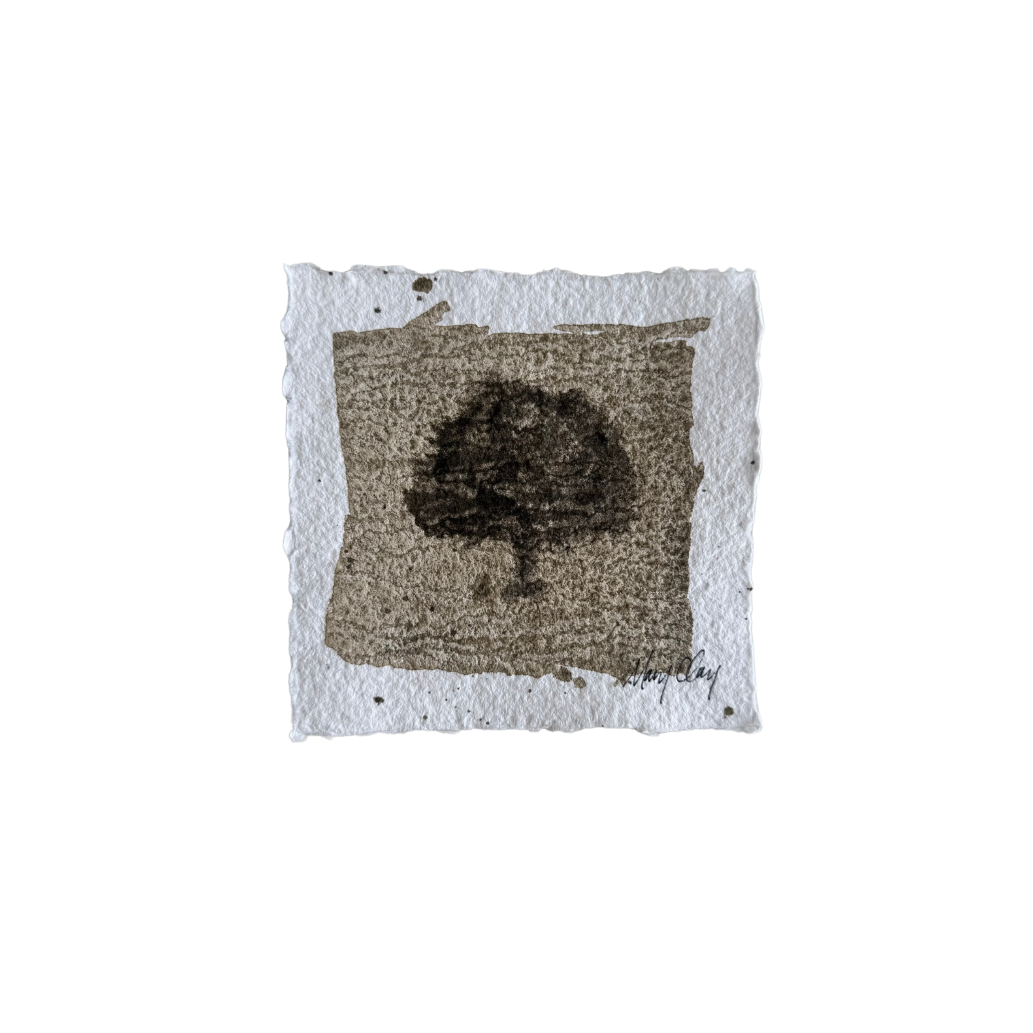 Tree Study V, 6"x6"