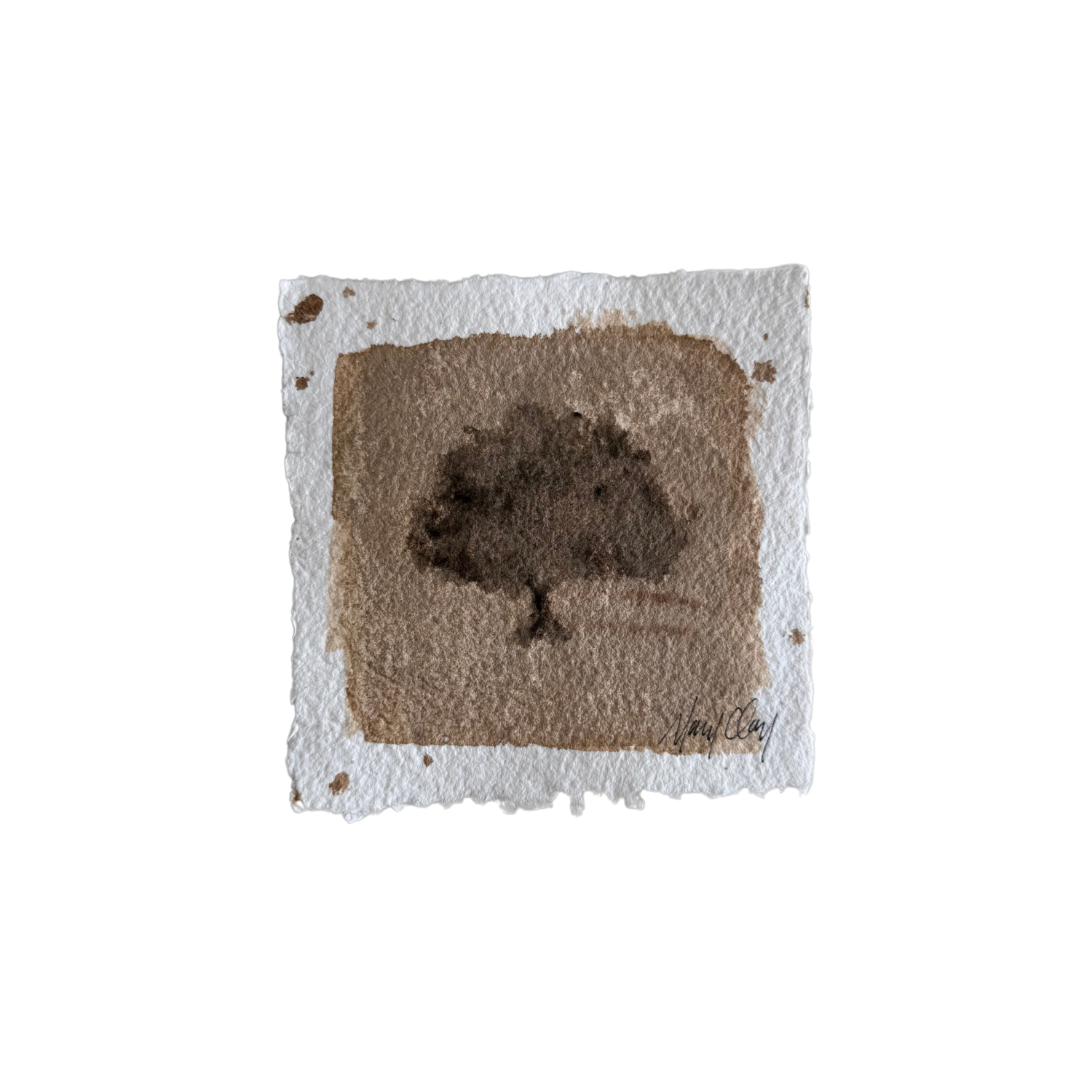 Tree Study XII, 6"x6"