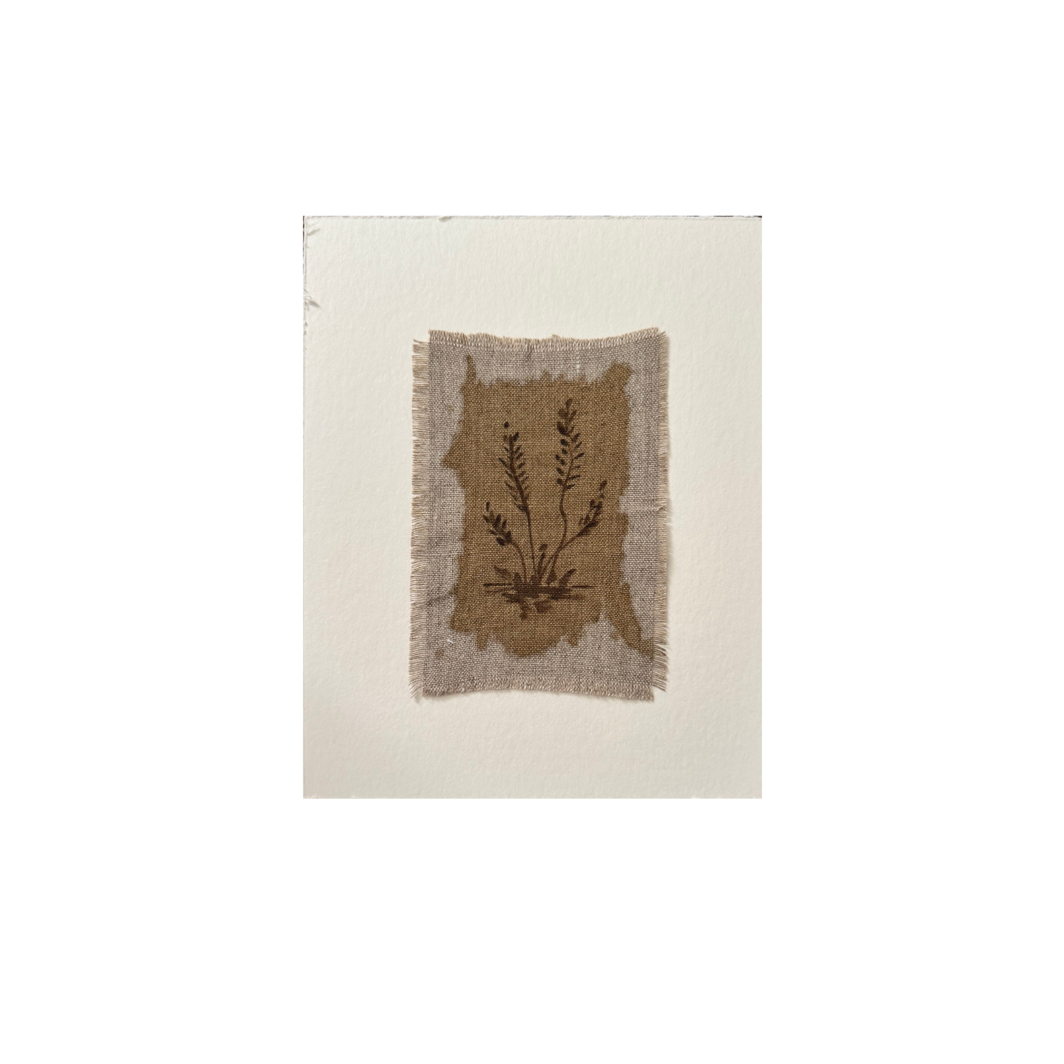 Shady Sprouts, 4"x6"