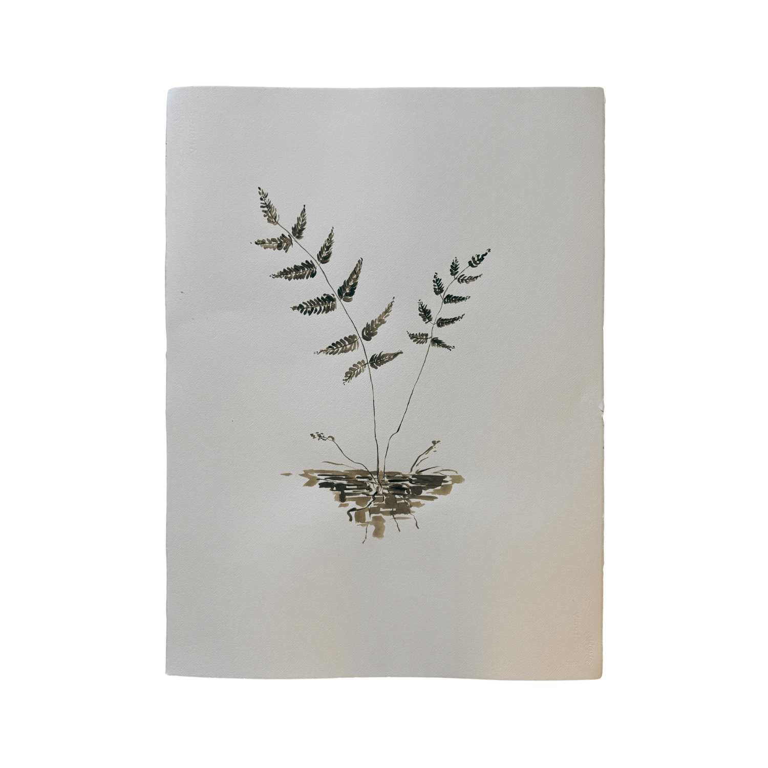 Loving Ladies, 22.5" x 30"