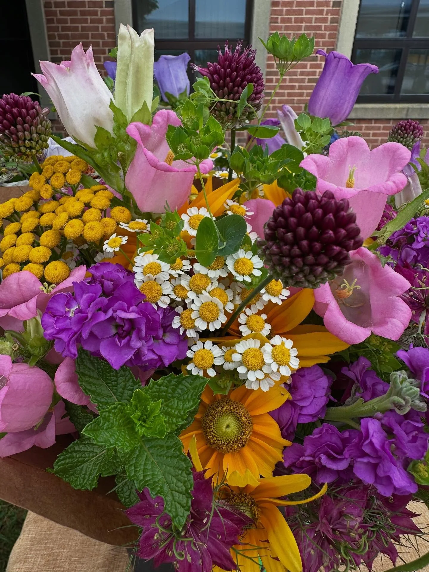 Today’s Market beauties π We have some beautiful blue nigella and sunflowers, as well as the colorful mixed bouquets!  Here at South Kingstown Farmers Market Saturdays from 8:30-12:30 and bouquets available Weekly at Shickasheen Farm.