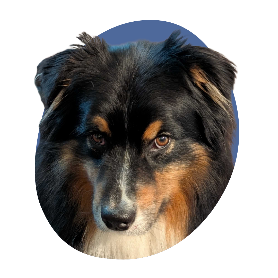 NPBS Social Media Graphics-2025.png