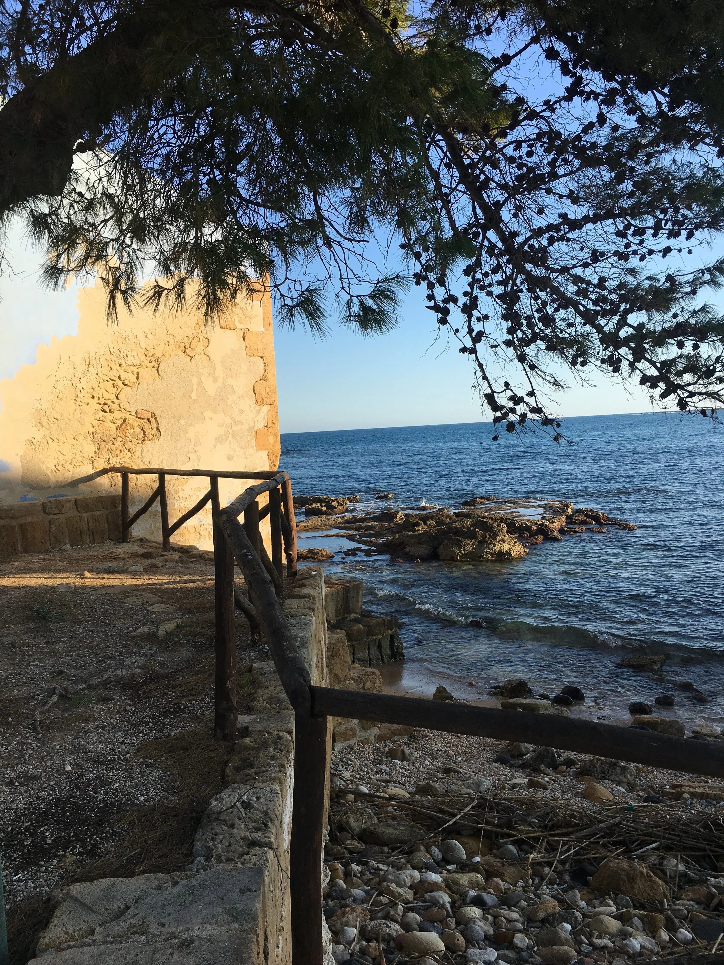 A rocky shoreline with a stone wall and wooden railing, partially shaded by overhanging trees, overlooking the ocean on a clear day.