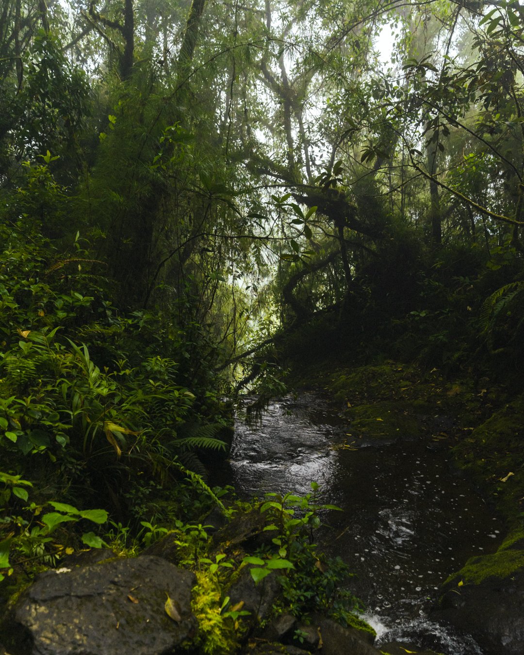 _DSC5605.jpg