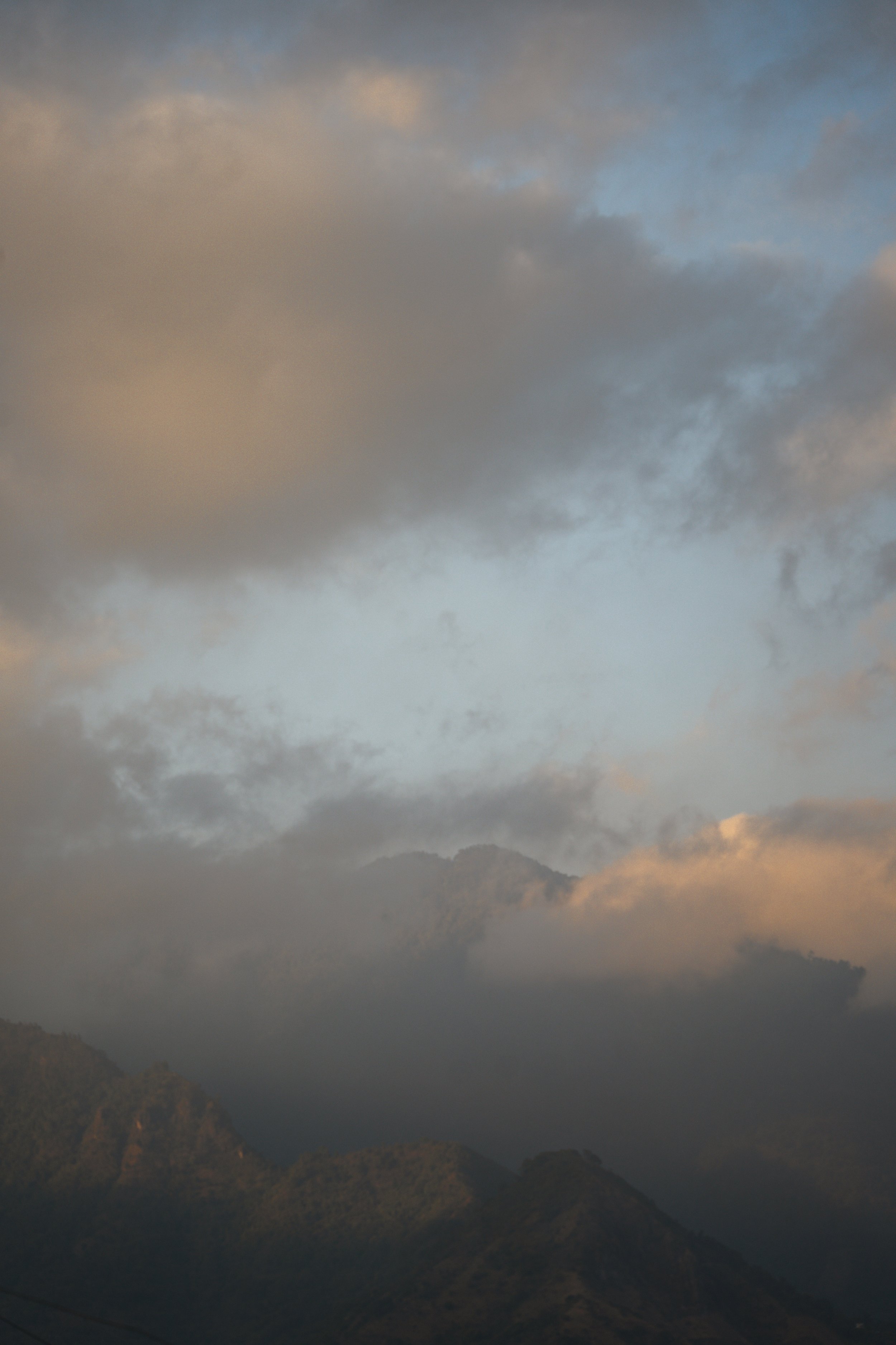 _DSC0650.jpg
