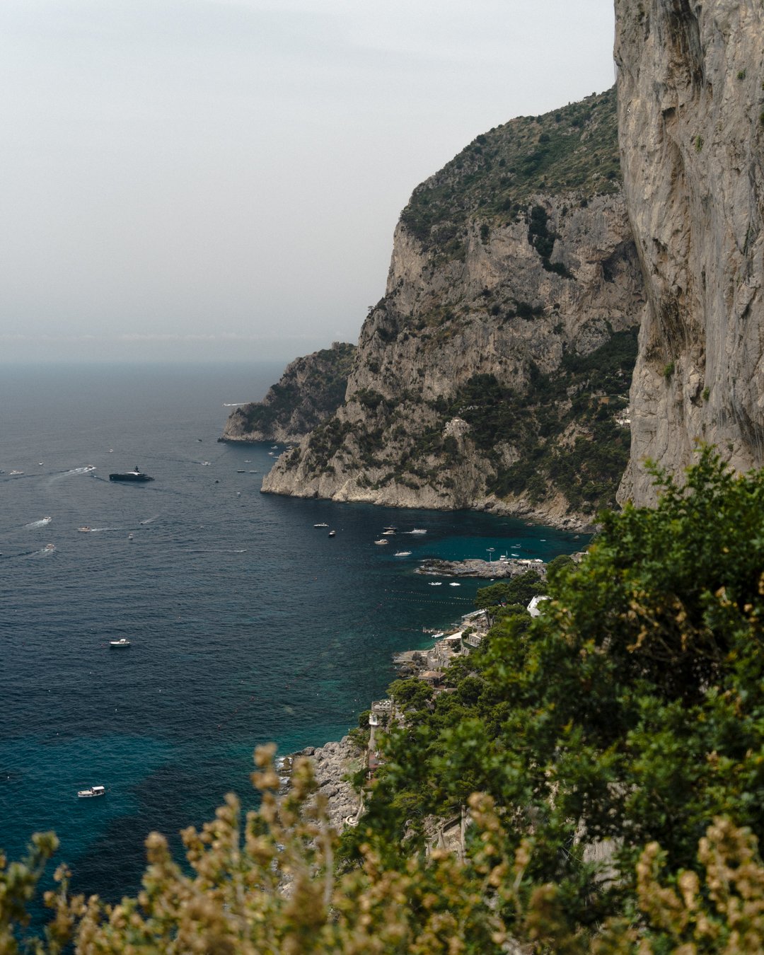 _DSC4875.jpg
