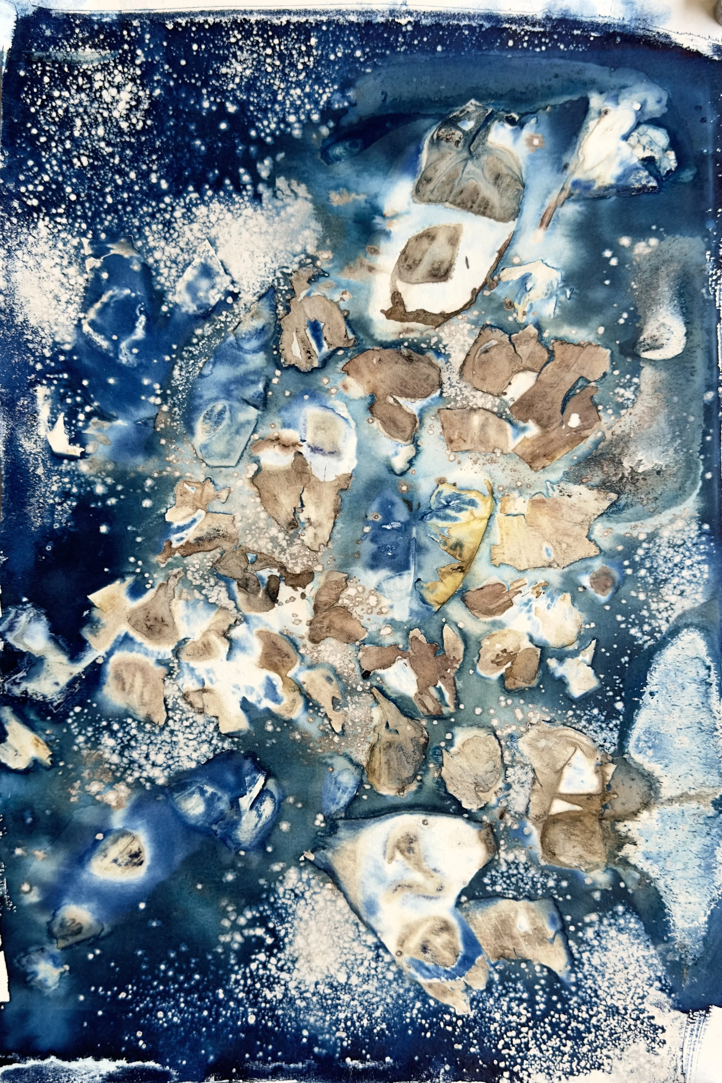 cibola / cyanotype / indianapolis / 8" x 12"