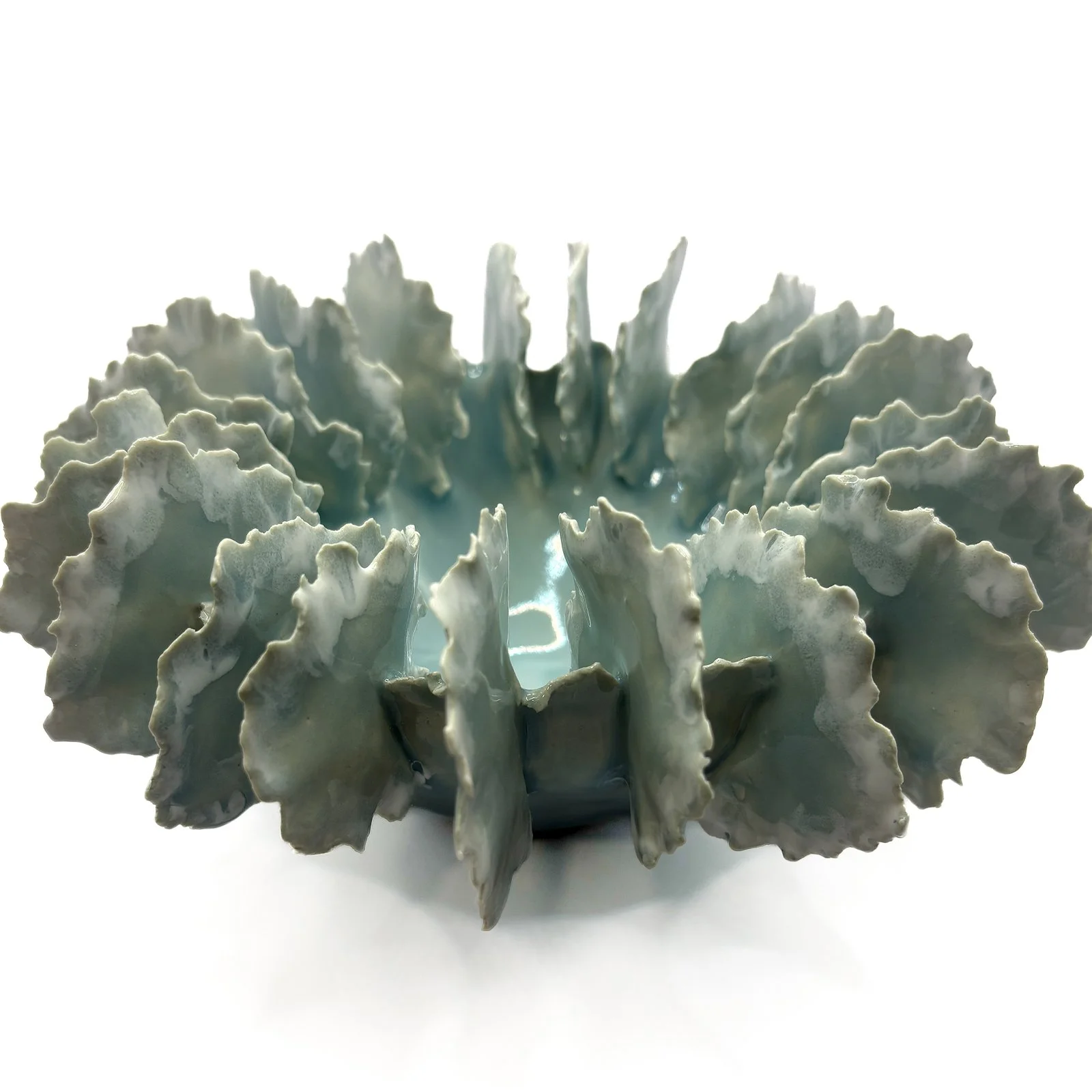 Sea Fan in Light Blue and White
4” H  X 9”W