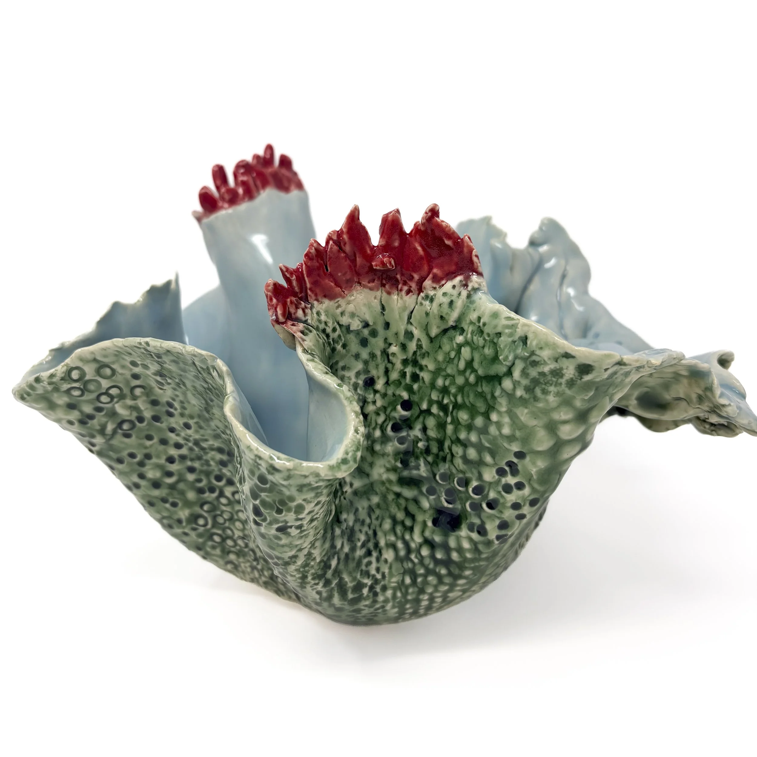 Red + Green Mushroom Coral
7 3/4 H X 11”W
