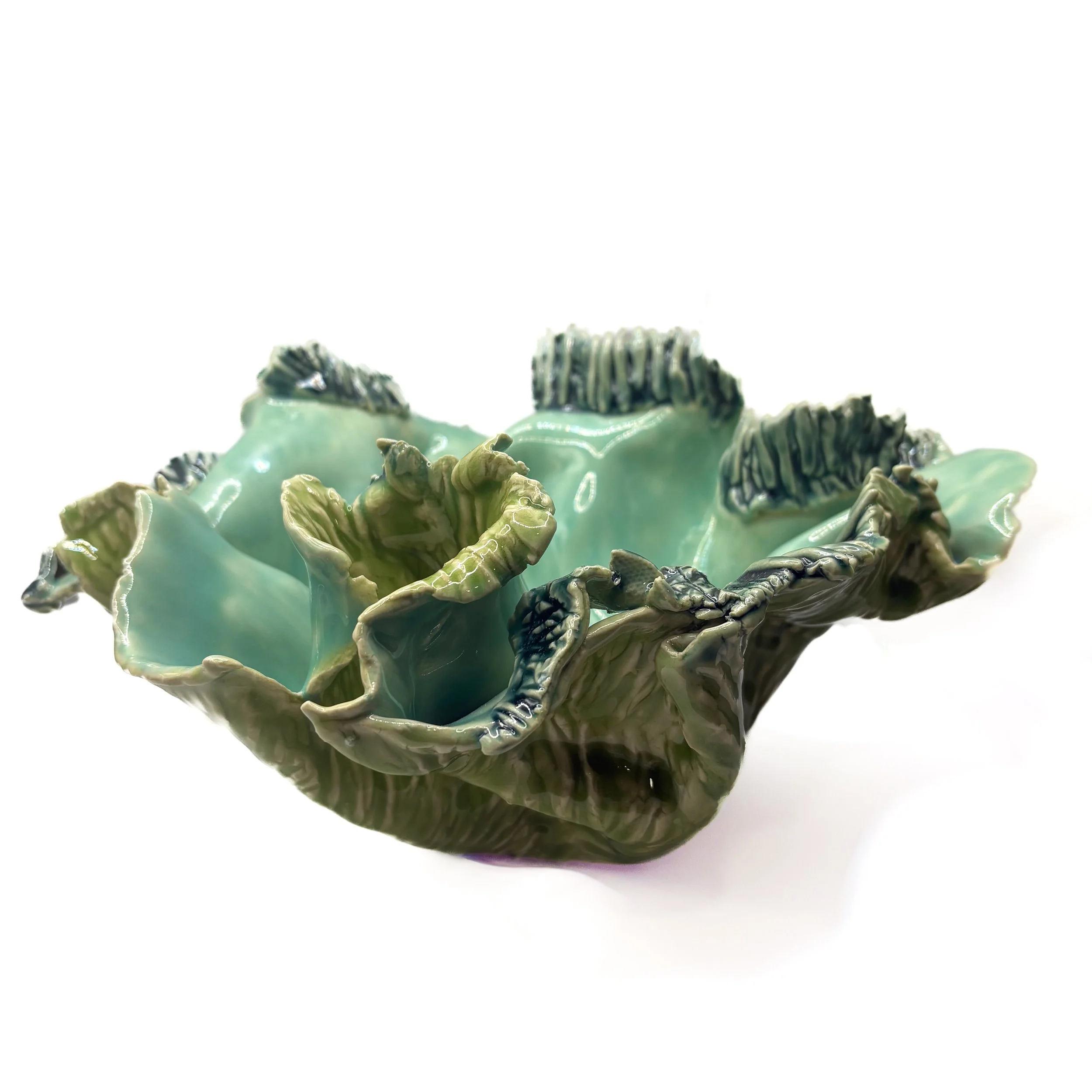 Emerald Plate Coral
5” H X 12” W
SOLD