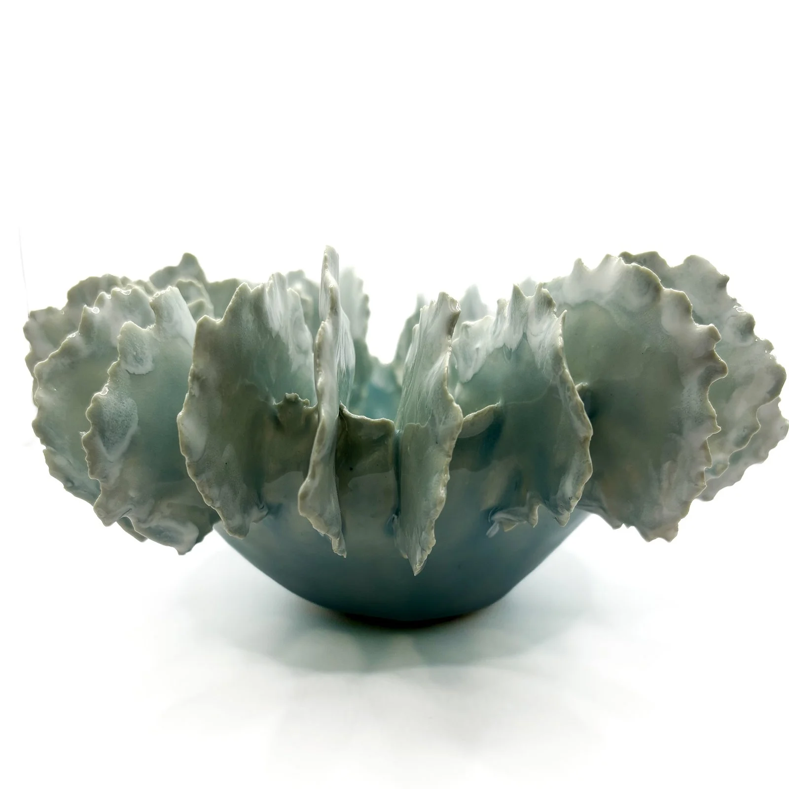 Sea Fan in Light Blue and White
4” H  X 9”W