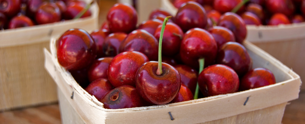 Nutritionist in Michigan Robin Brown RD women's health menopause nutrition North Shore Balance