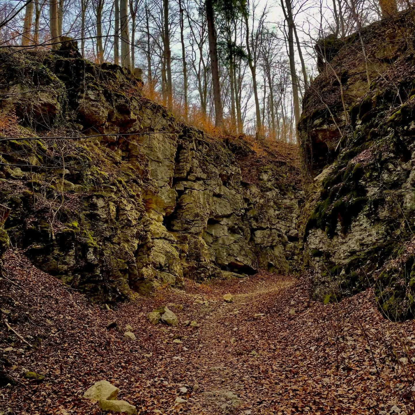 Mutter natur ist die beste Muse
#freierredner #naturliebe #hiking #fr&uuml;hling #schwaben