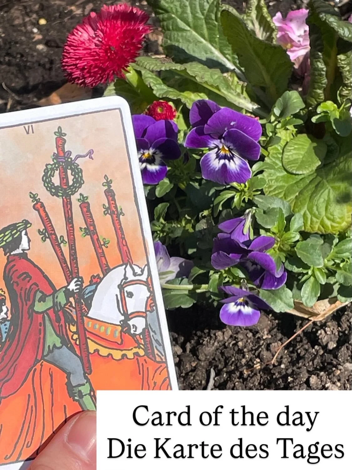 Tarot doesn&rsquo;t have to be mystical fluff&mdash;it can be a tool for clarity, reflection, and real-life decisions.

My online tarot readings are grounded, practical, and focused on helping you navigate what&rsquo;s actually in front of you&mdash;