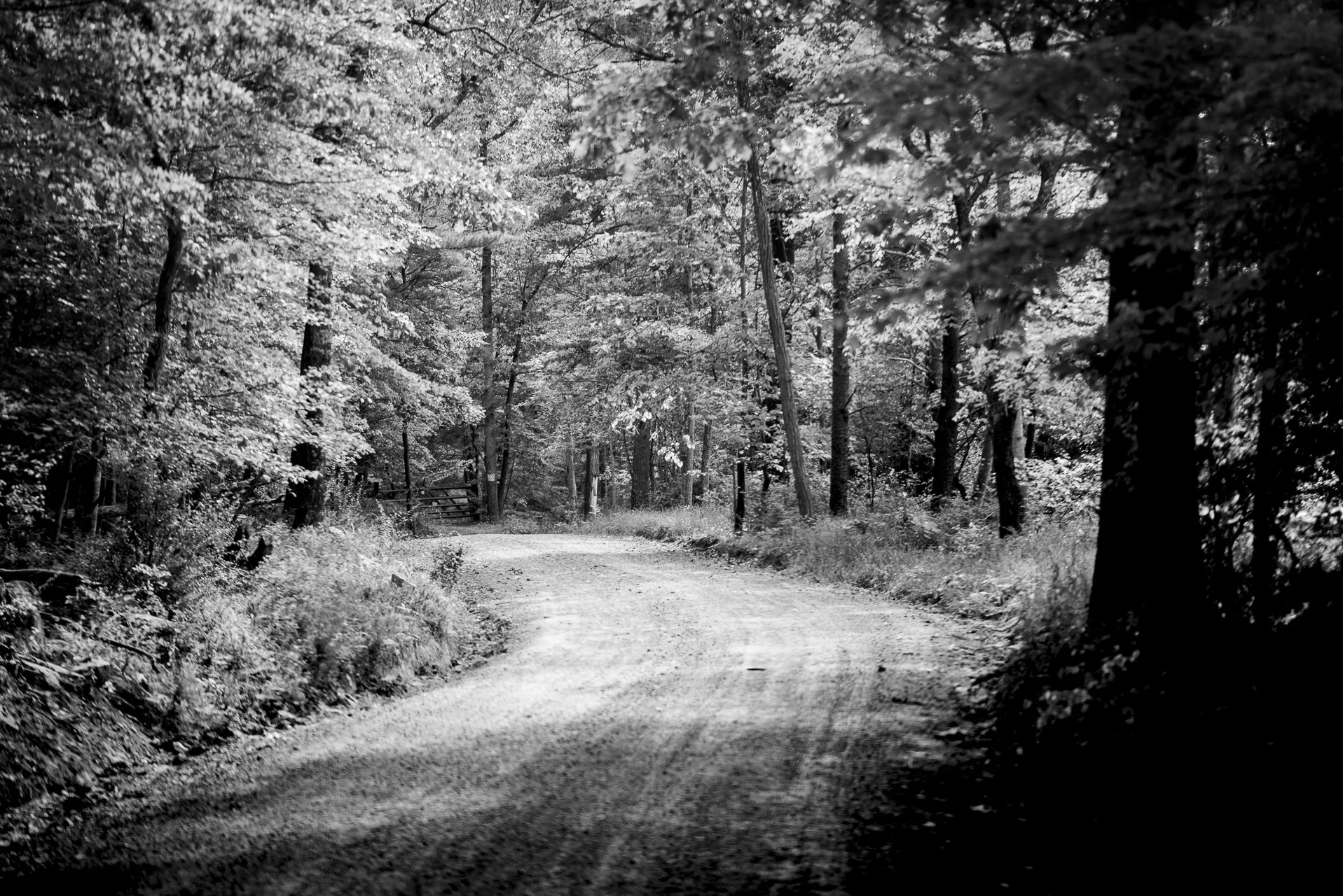 _BSC0890.jpg