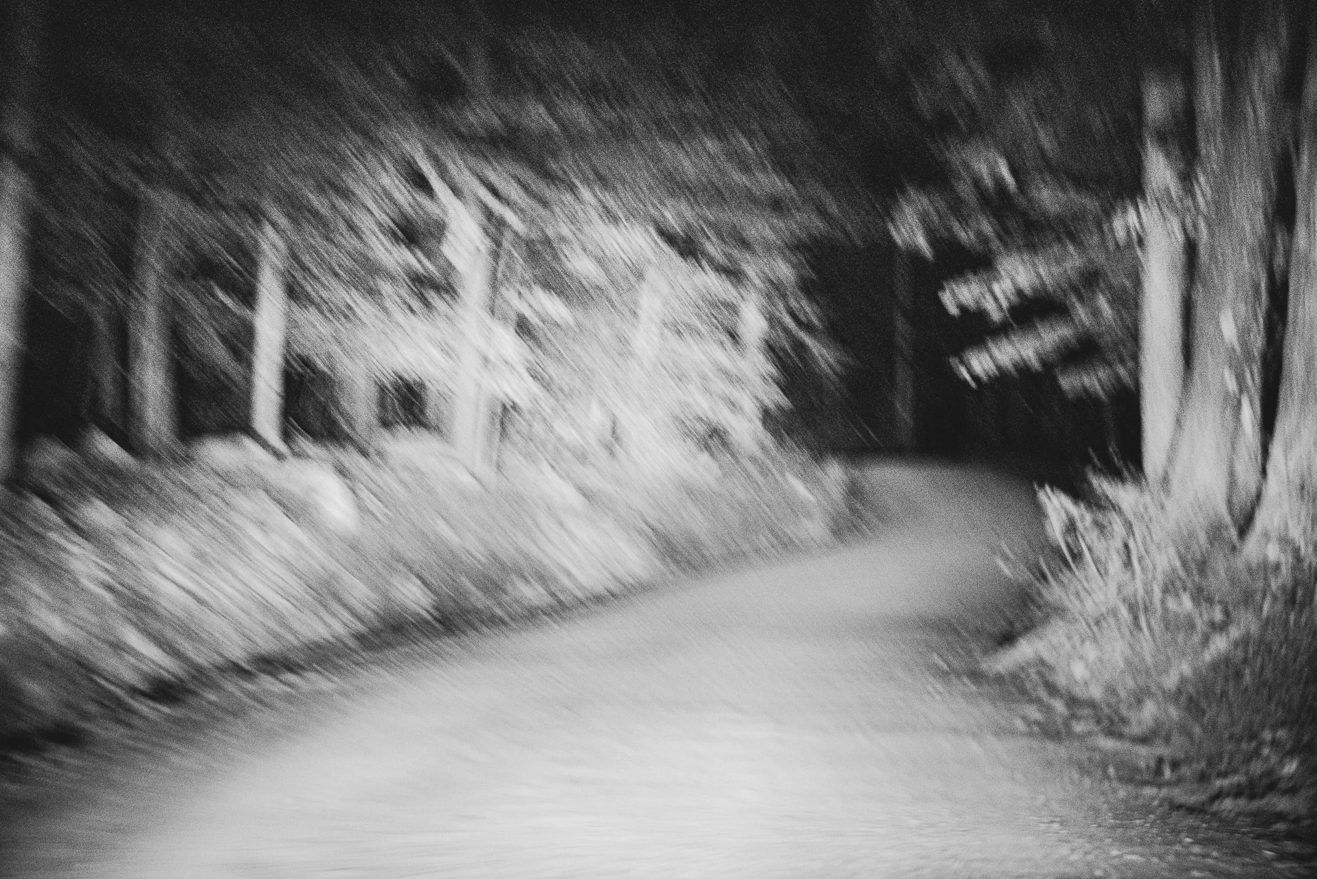 _BSC0943.jpg
