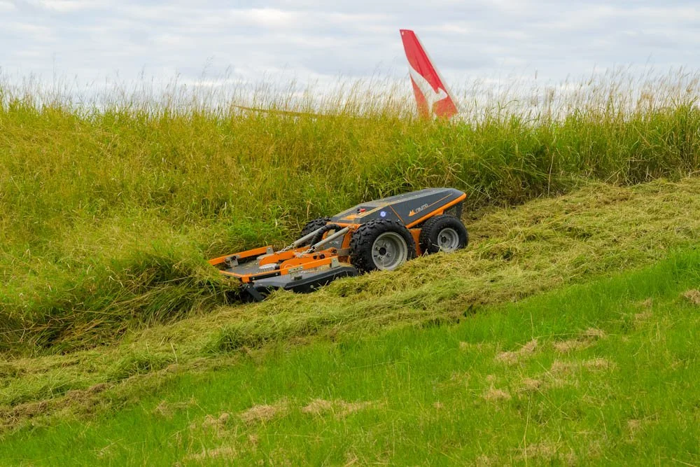 Raymo Raymo - Electric Remote Controlled Mower