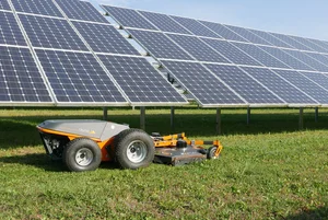 Raymo - Electric Remote Controlled Mower