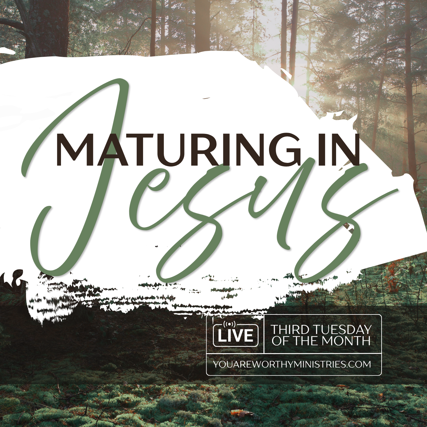 Maturing In Jesus Teaching Night