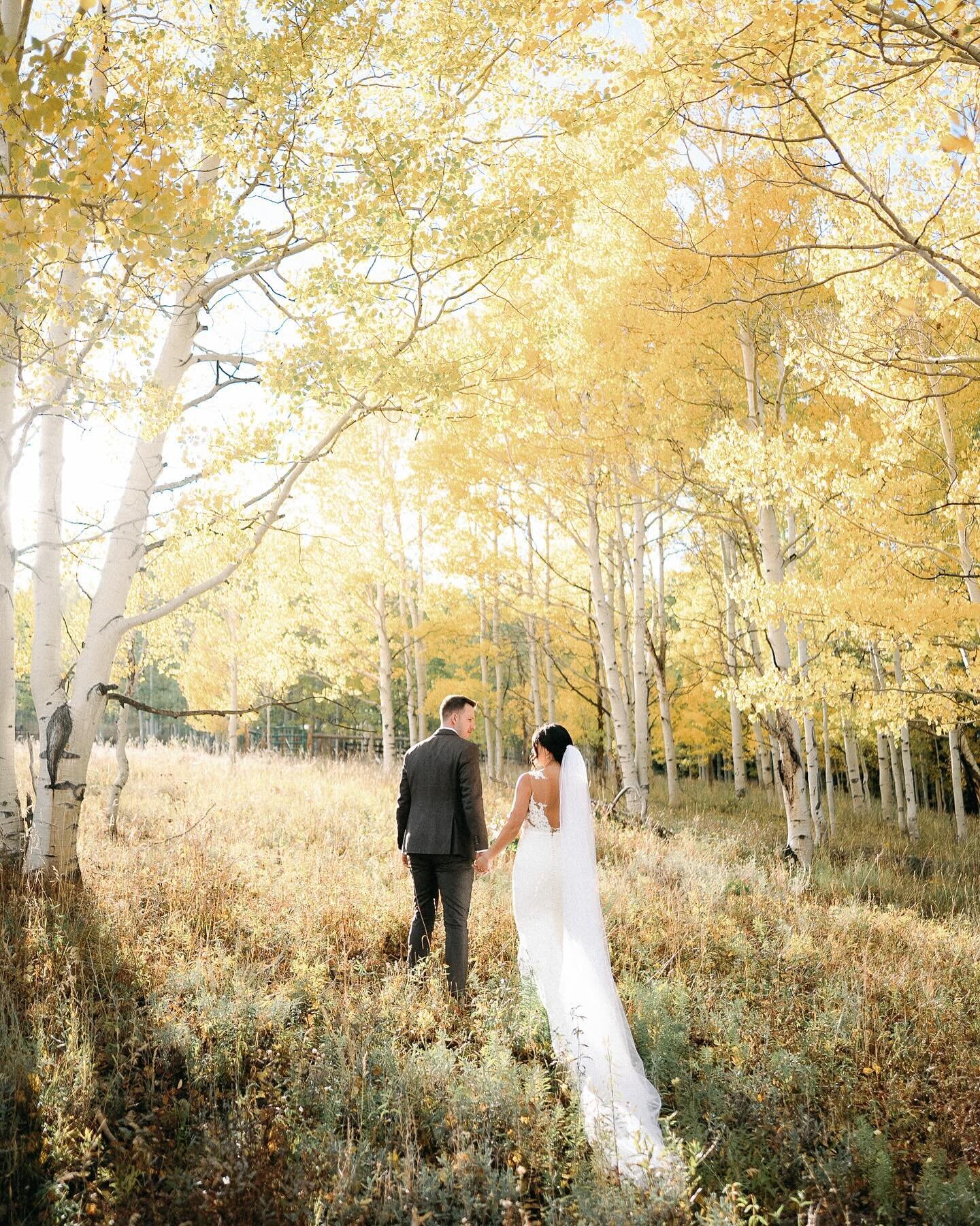 Jessica and Derek in Crested Butte&rsquo;s golden goodness