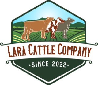 Lara Cattle Company