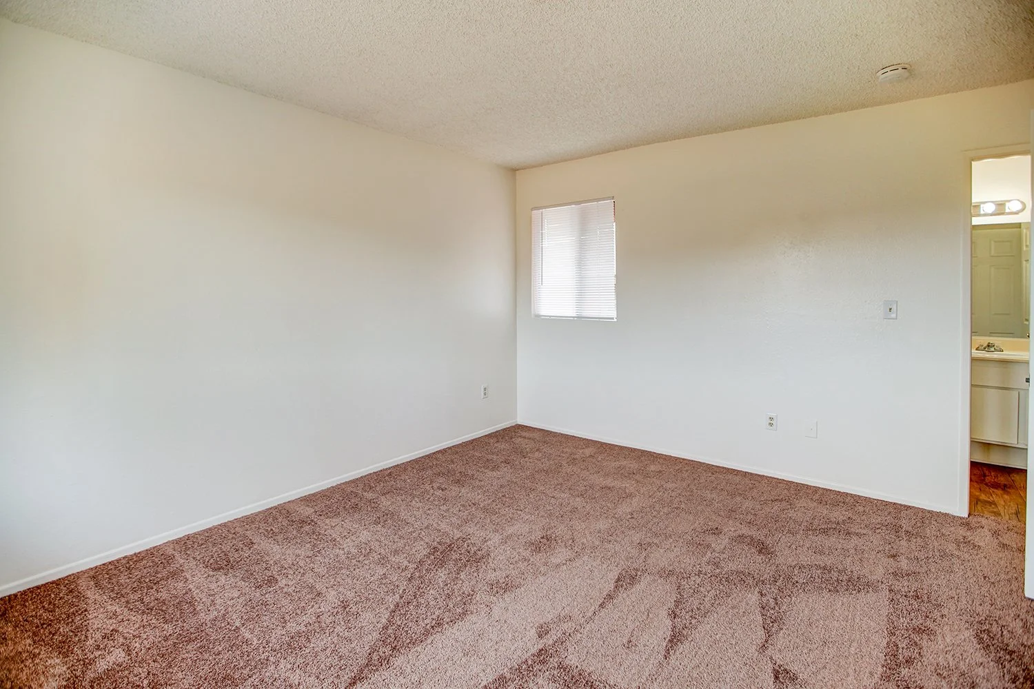 This image includes a look into a bedroom with carpeted flooring and a large window.