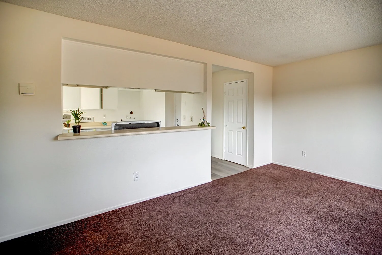 This image shows both the living room and the kitchen. 