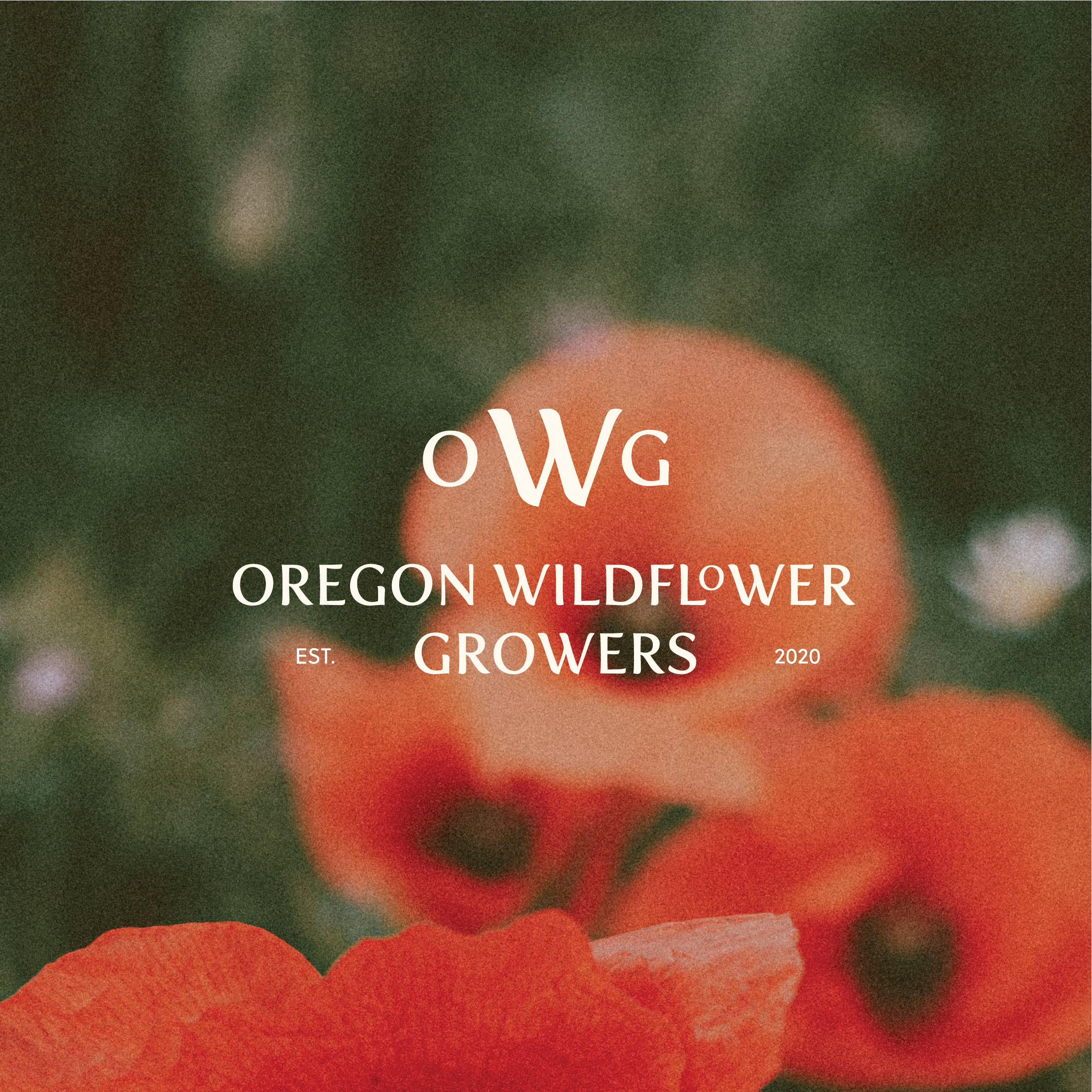 Oregon Wildflower Growers