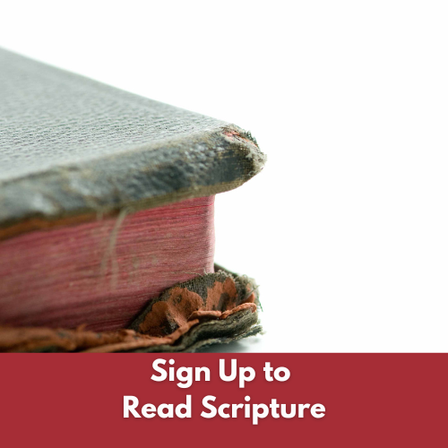 Scripture reader