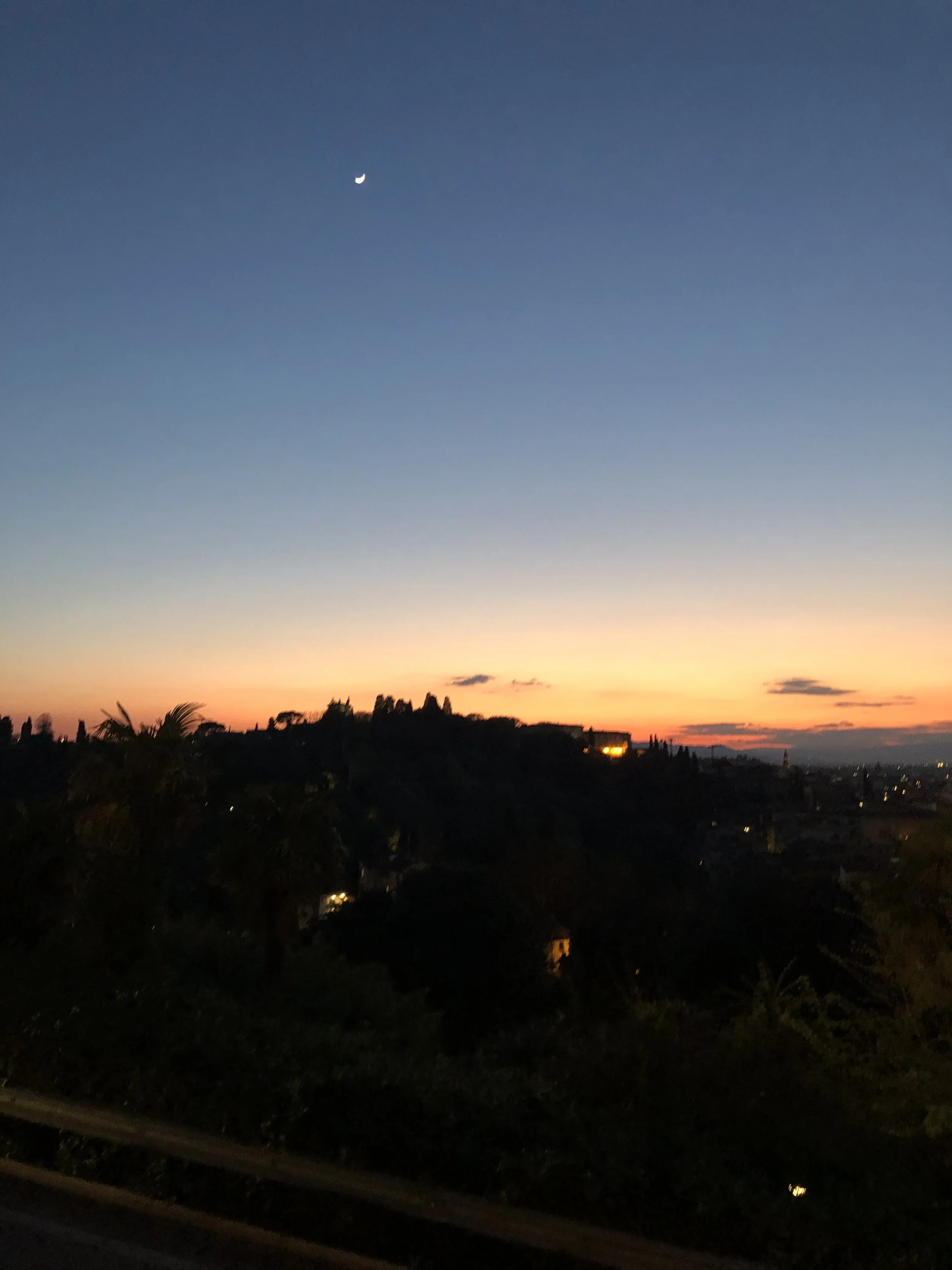 IMG_6255.jpeg