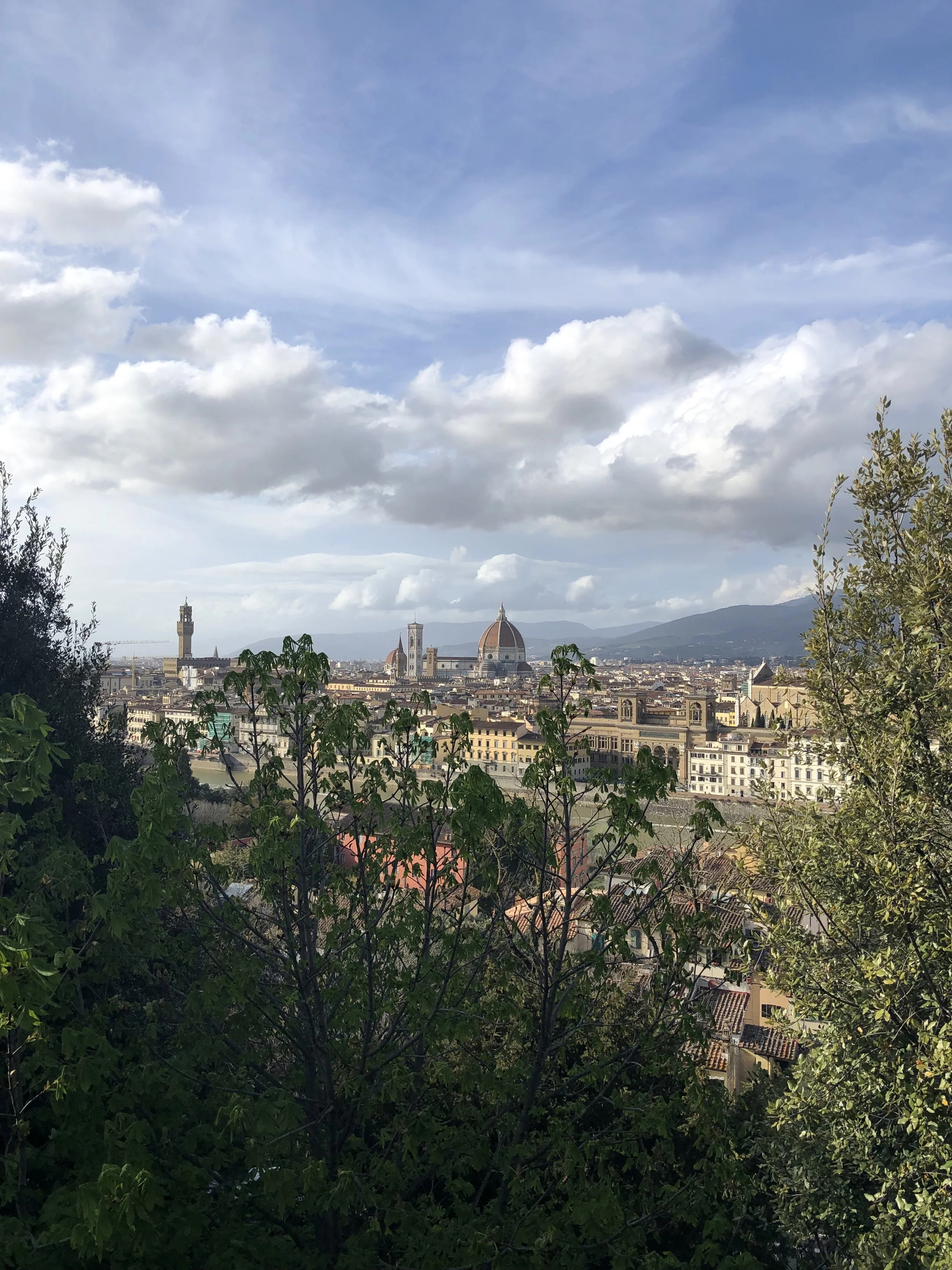 IMG_5976.jpeg