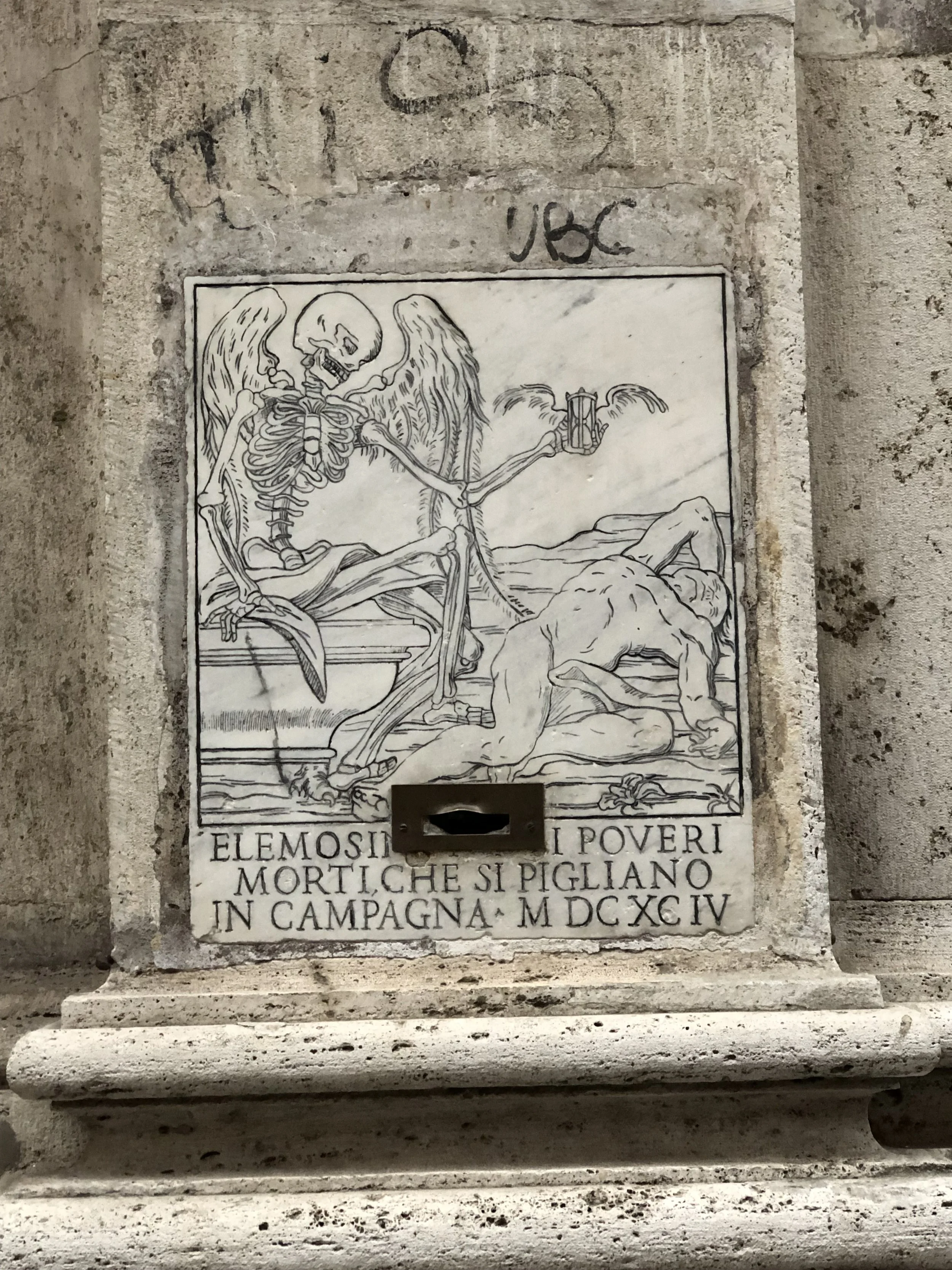 IMG_5328.jpeg