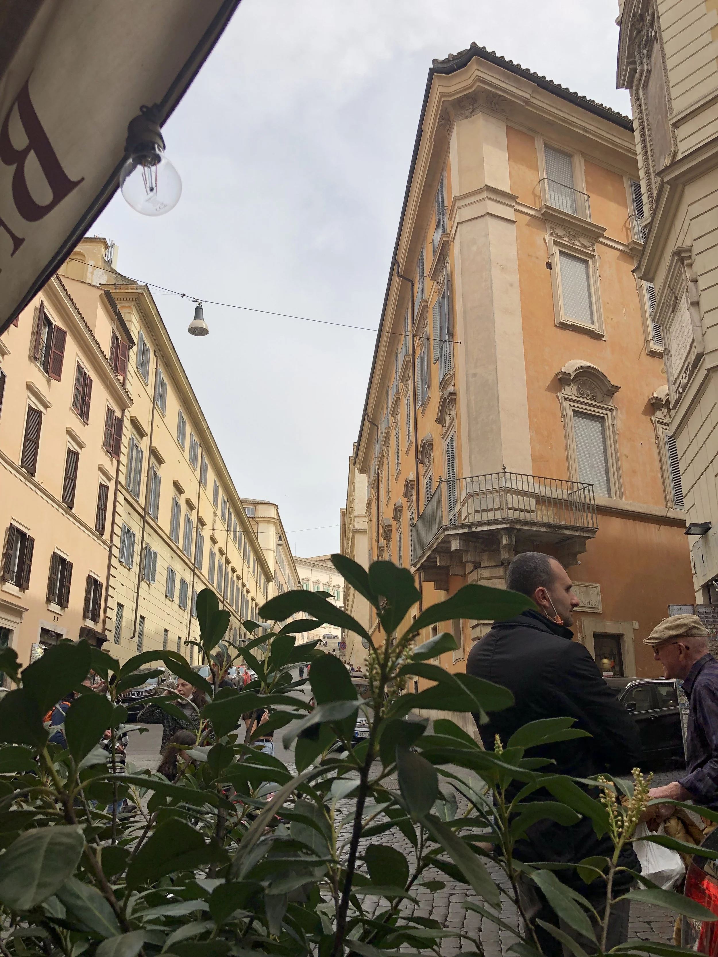 IMG_5252.jpeg