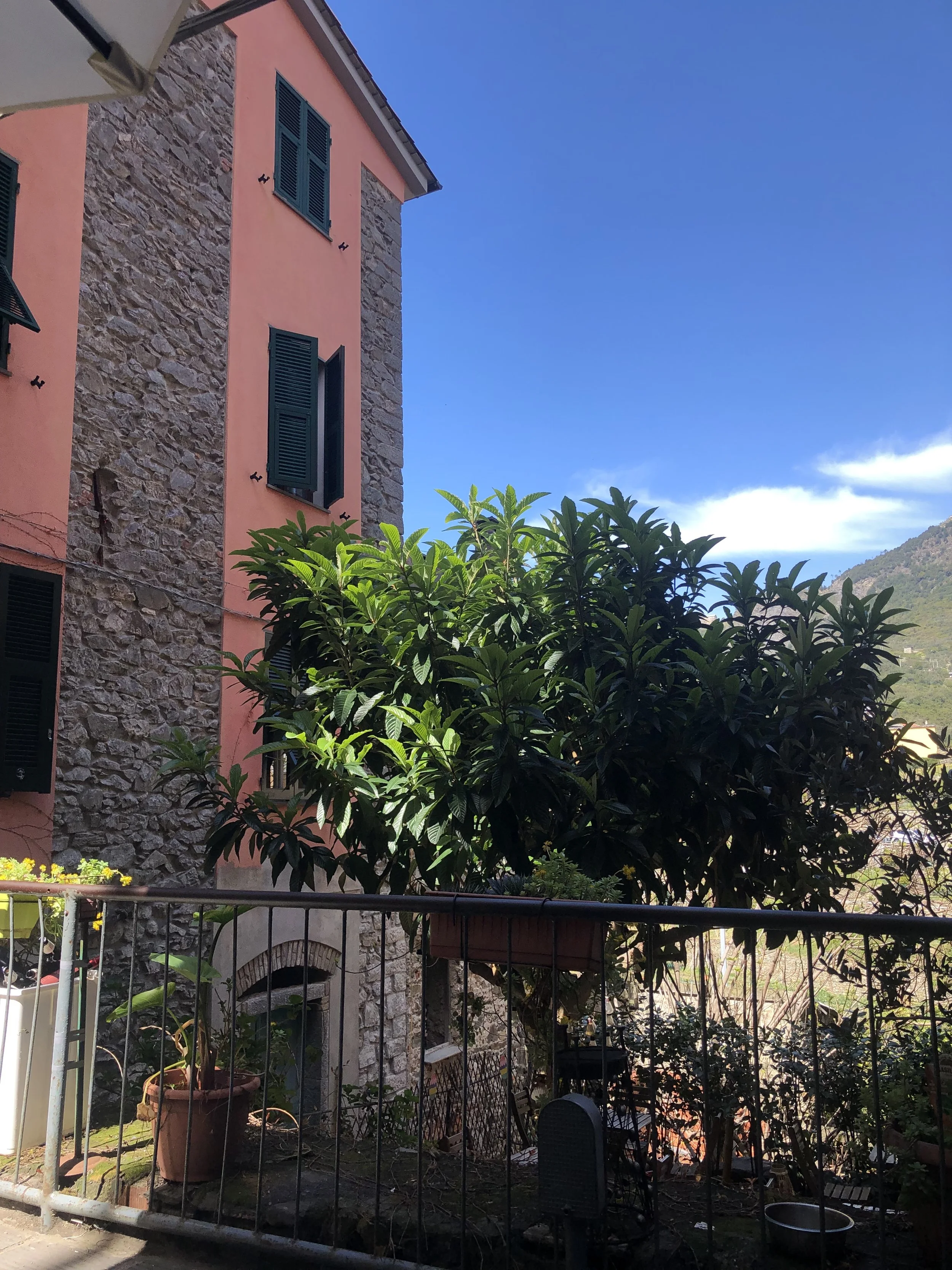 IMG_6443.jpeg