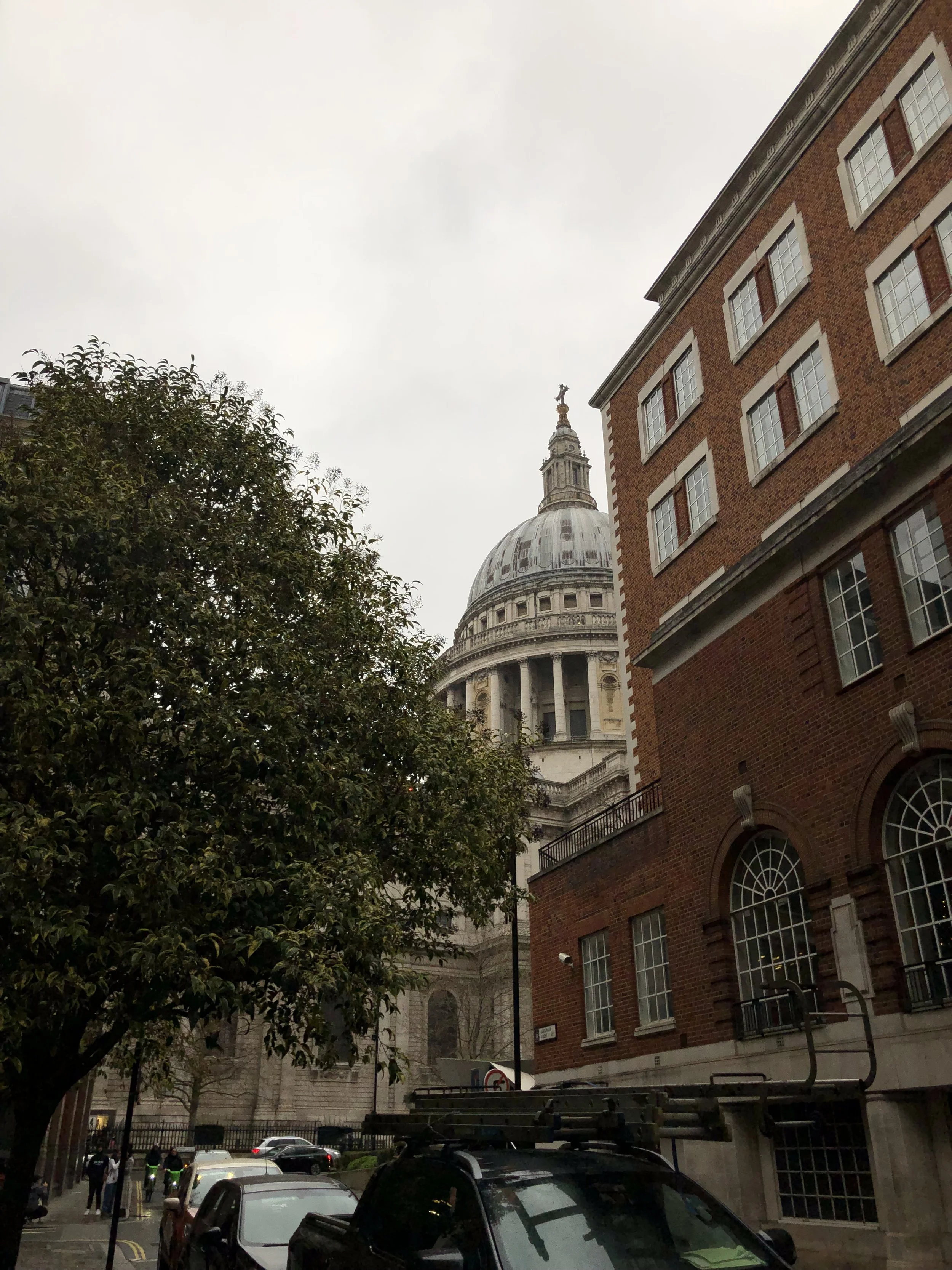 IMG_1168.jpeg