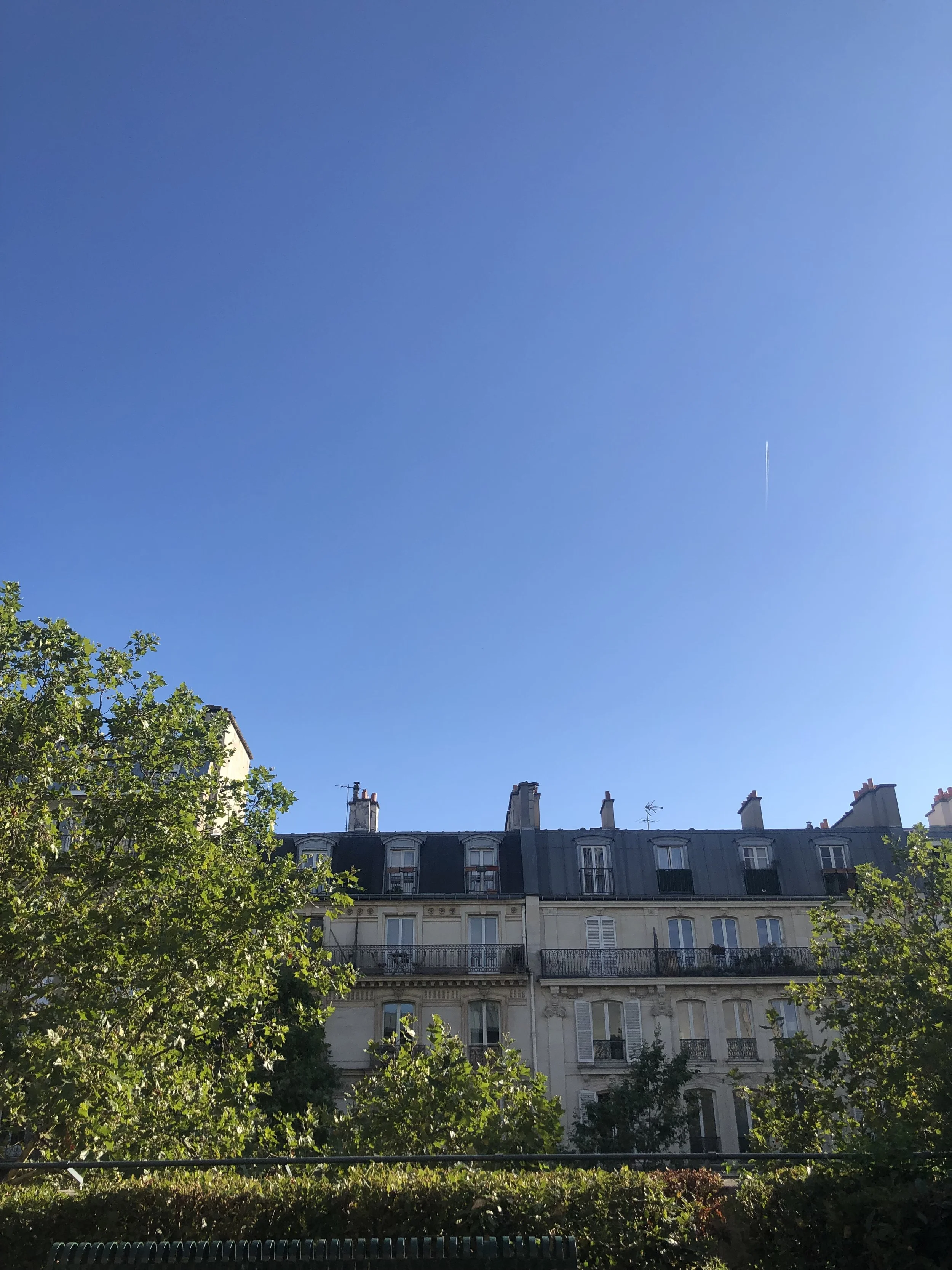 IMG_2719.jpeg