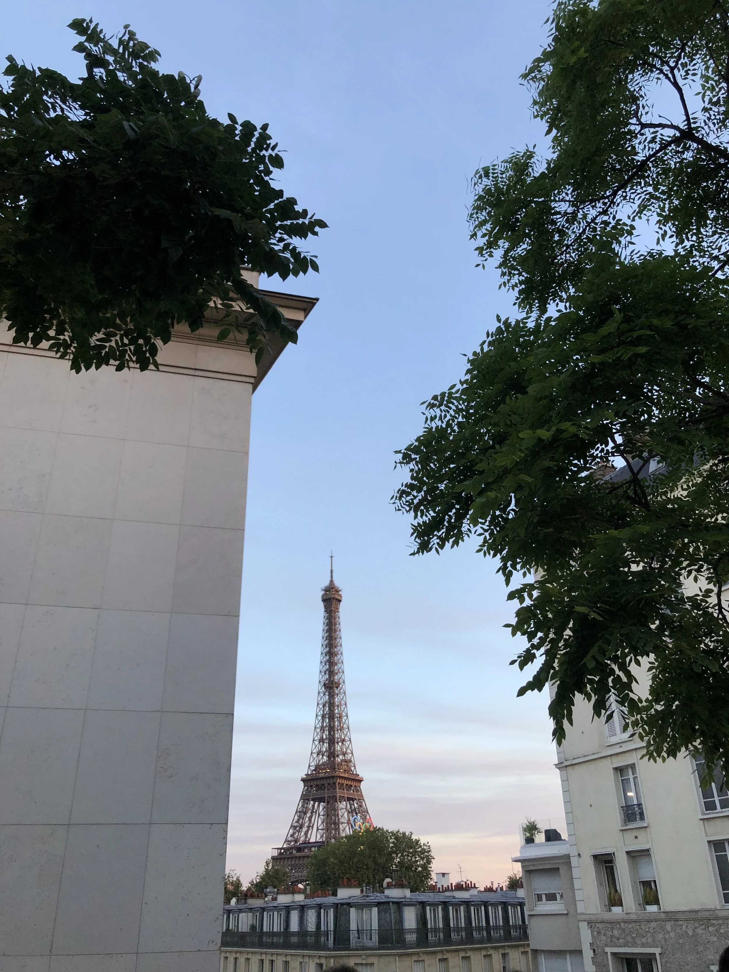IMG_3124.jpeg