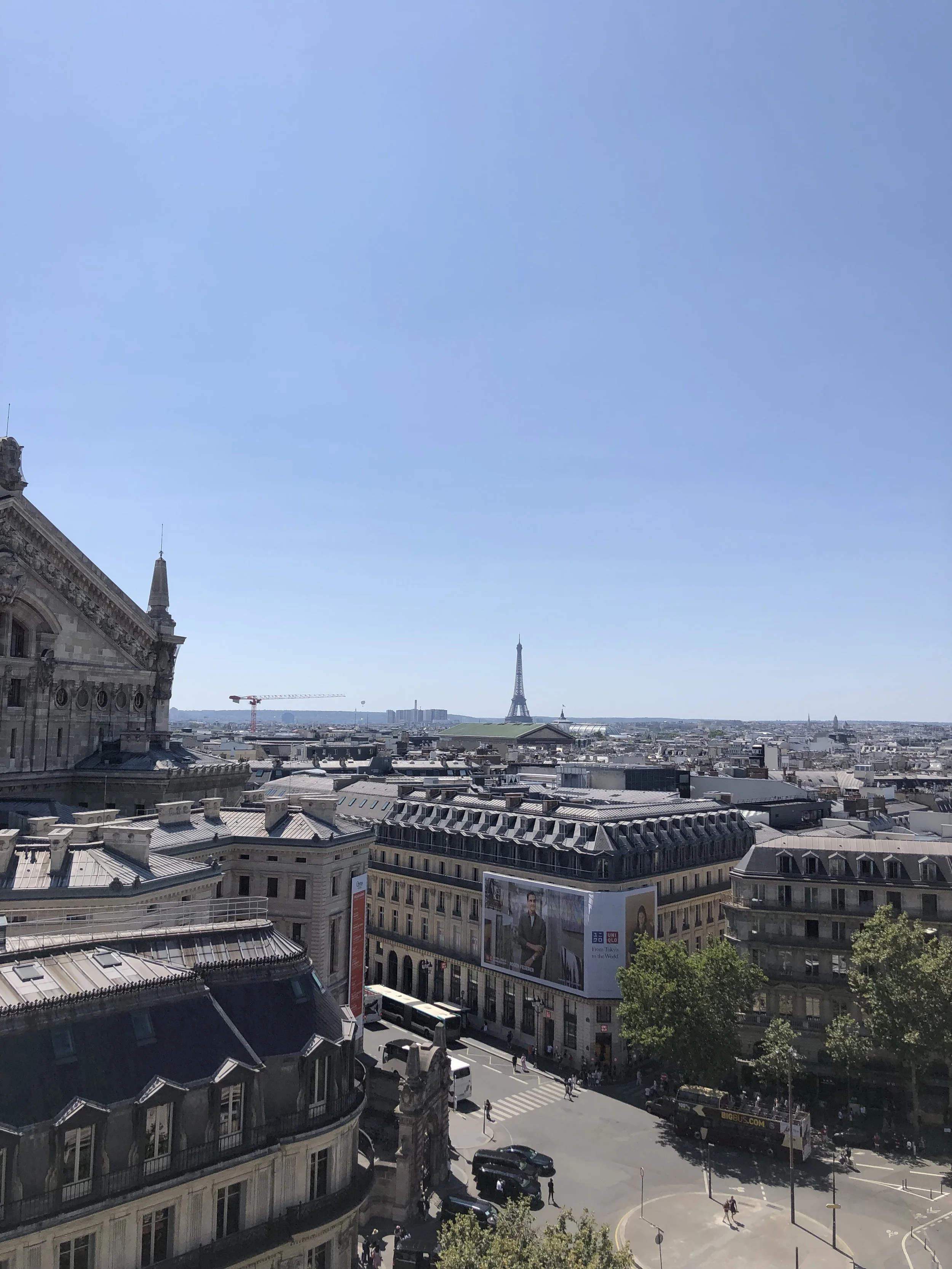IMG_3174.jpeg