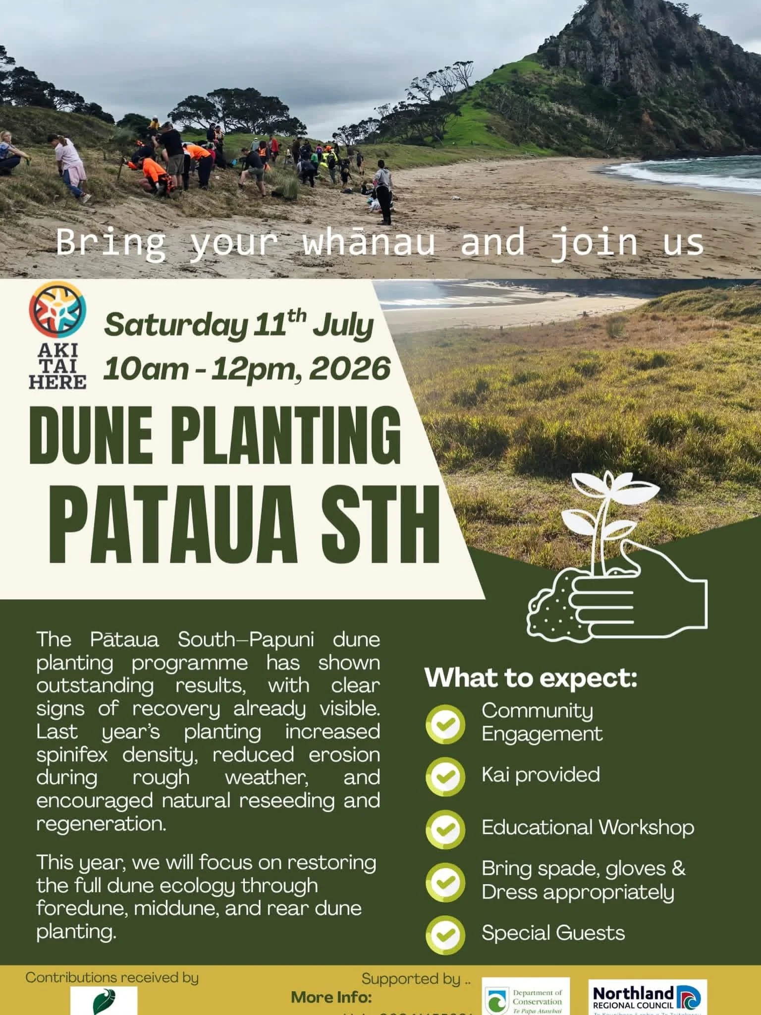 Dune Planting Pataua South 2026